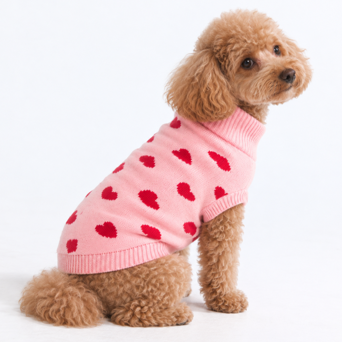 Hearts Knit Dog Sweater - Image 4