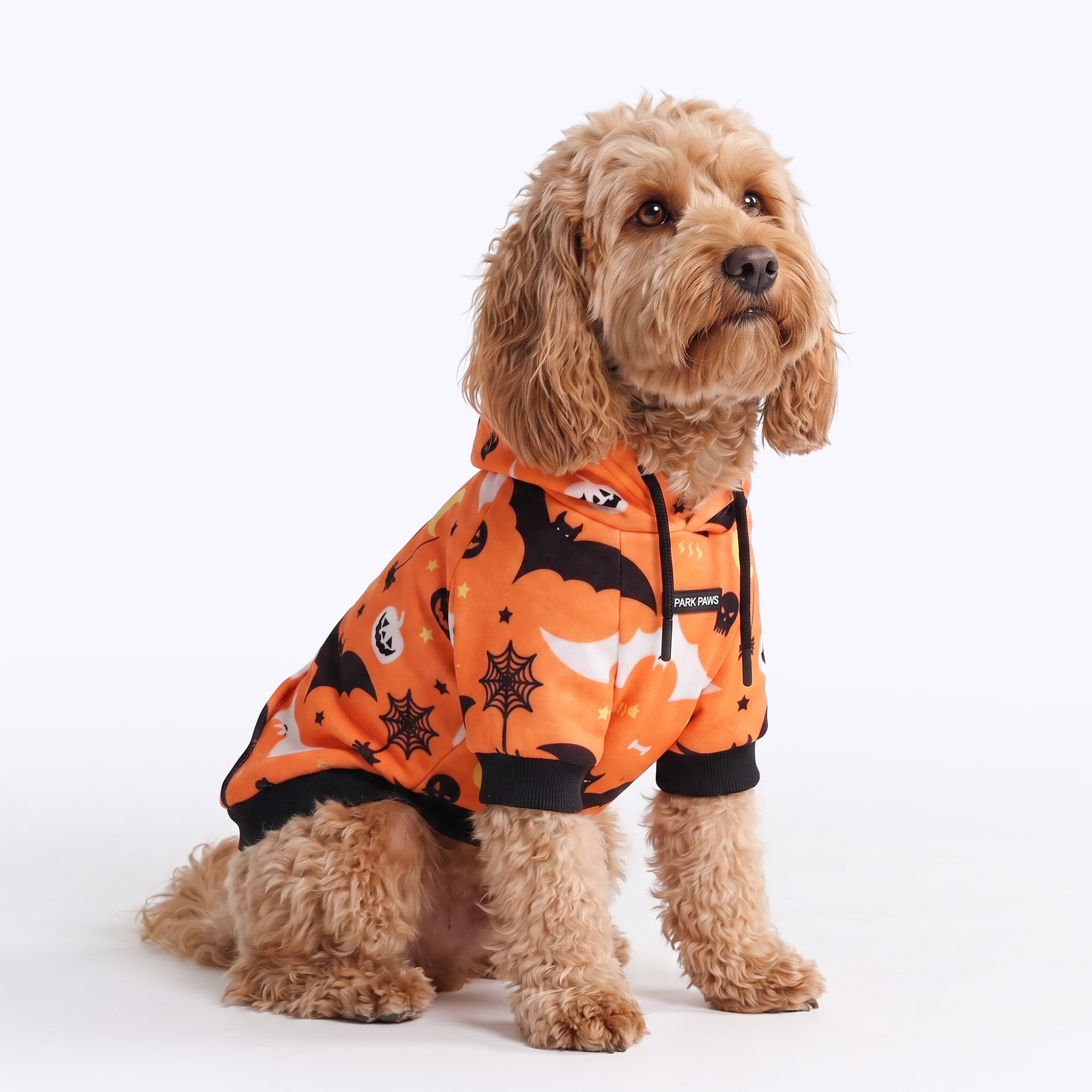 Halloween Dog Hoodie - Orange - Image 4
