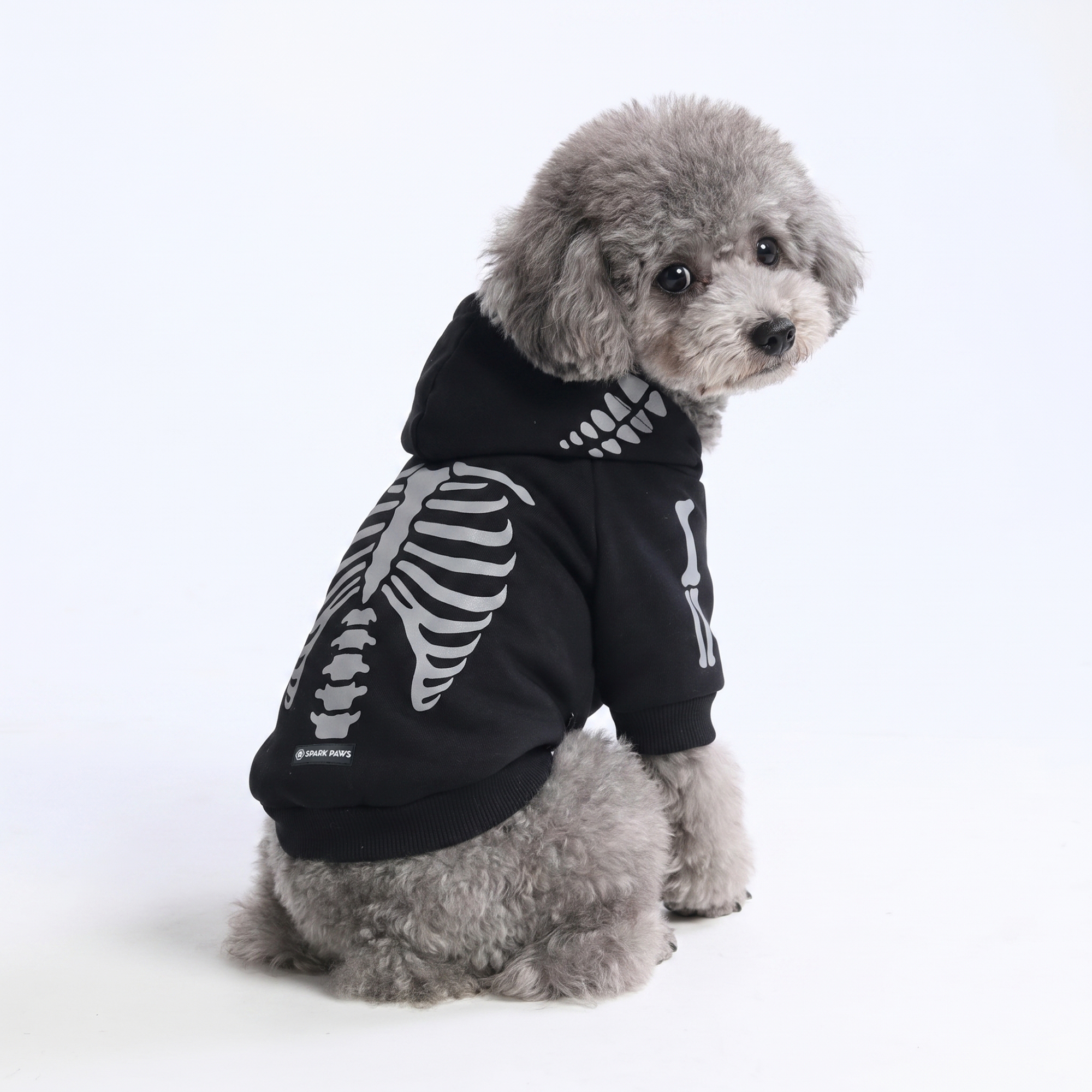 Halloween Dog Hoodie - Reflective Skeleton - Image 3