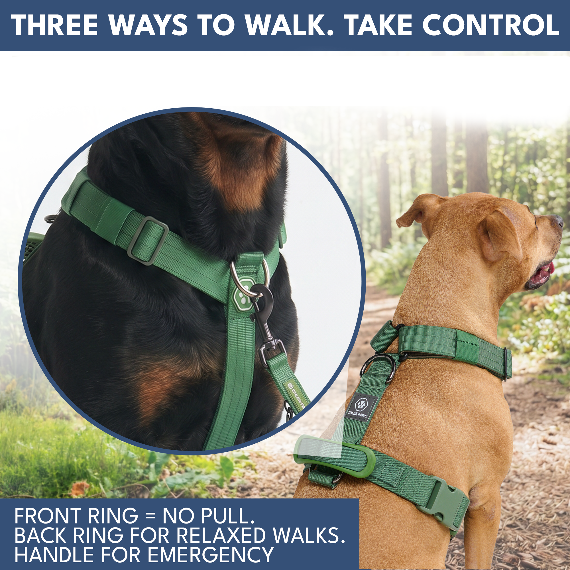 Comfort Control No-Pull Dog Harness and Multipurpose Leash Set - Green - Image 4