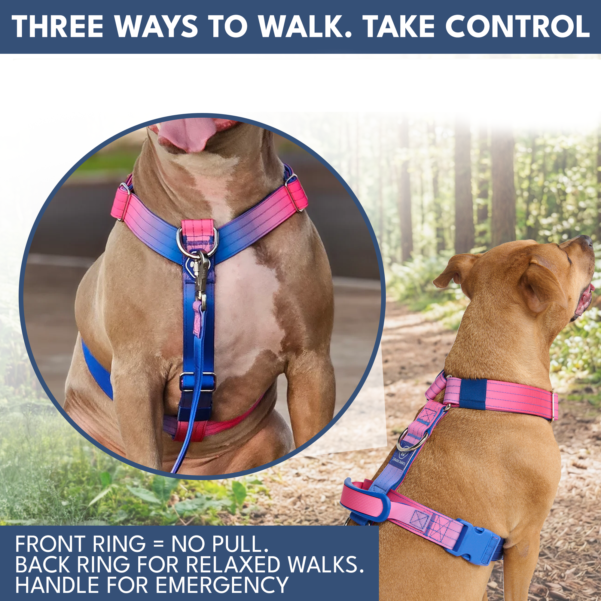 Comfort Control No-Pull Dog Harness and Multipurpose Leash Set - Snow Cone - Image 4