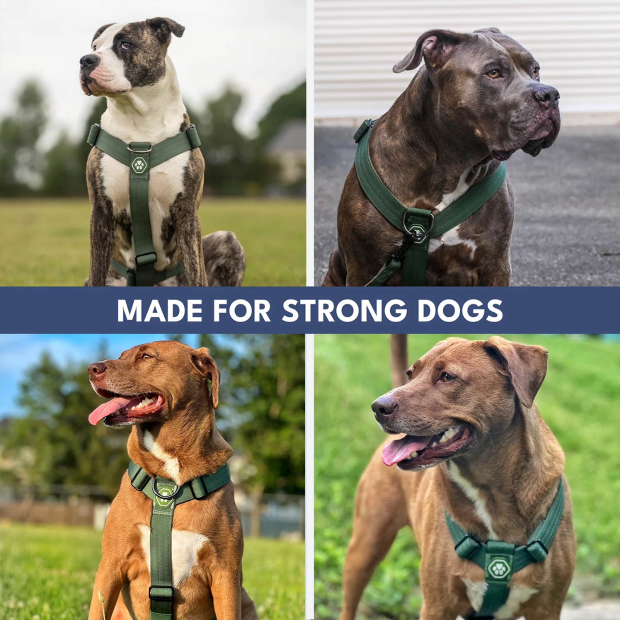 Comfort Control No-Pull Dog Harness and Multipurpose Leash Set - Green - Image 6