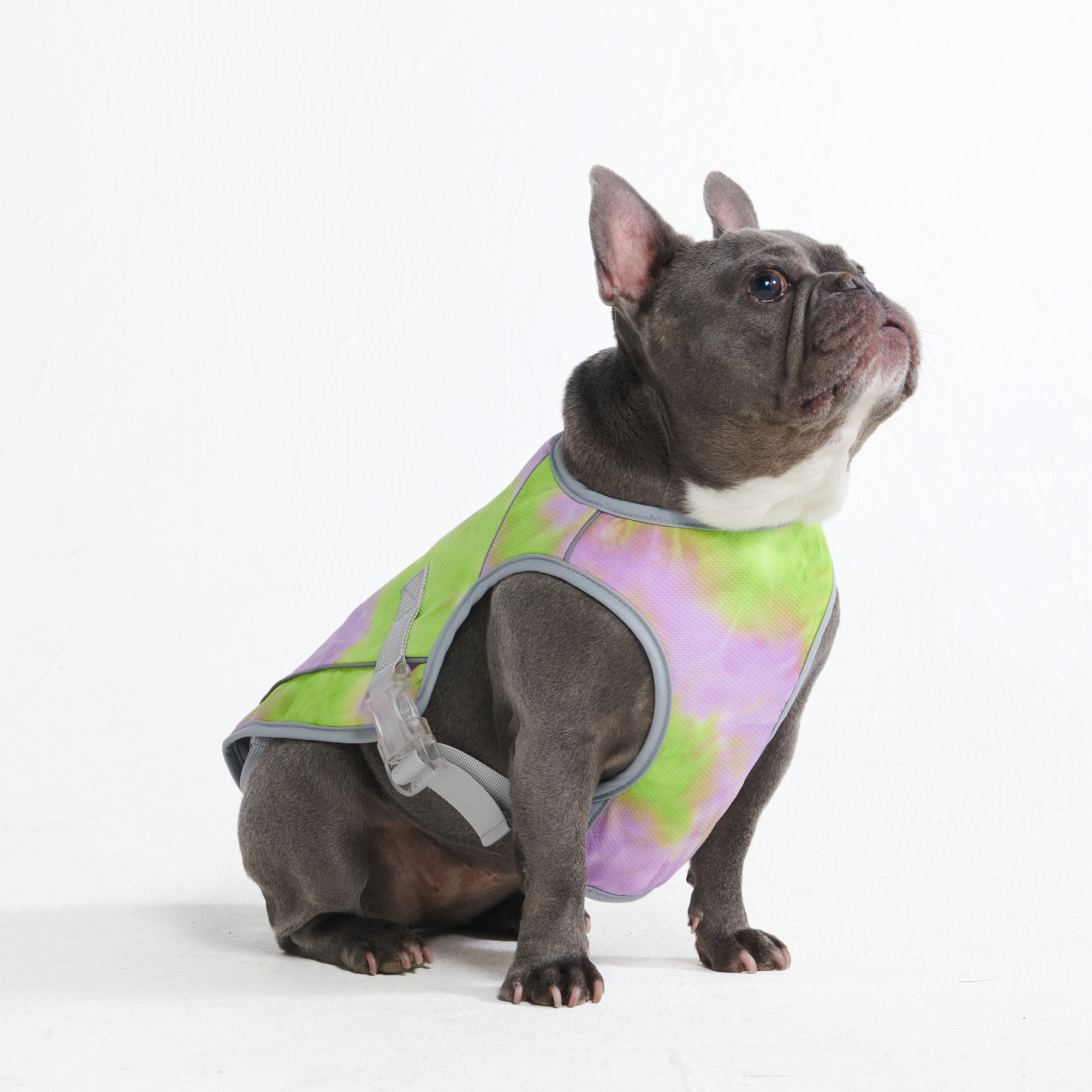 Dog Cooling Vest - Neon Purple - Image 2