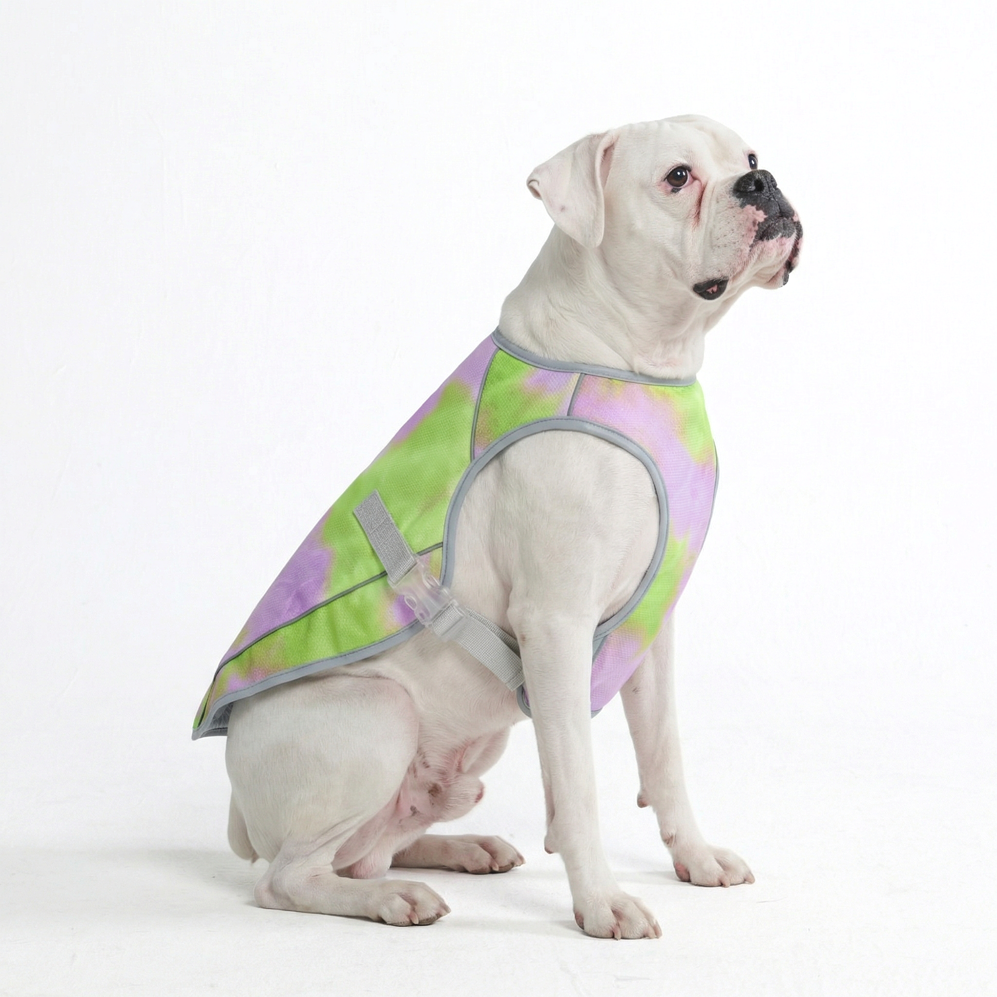 Dog Cooling Vest - Neon Purple