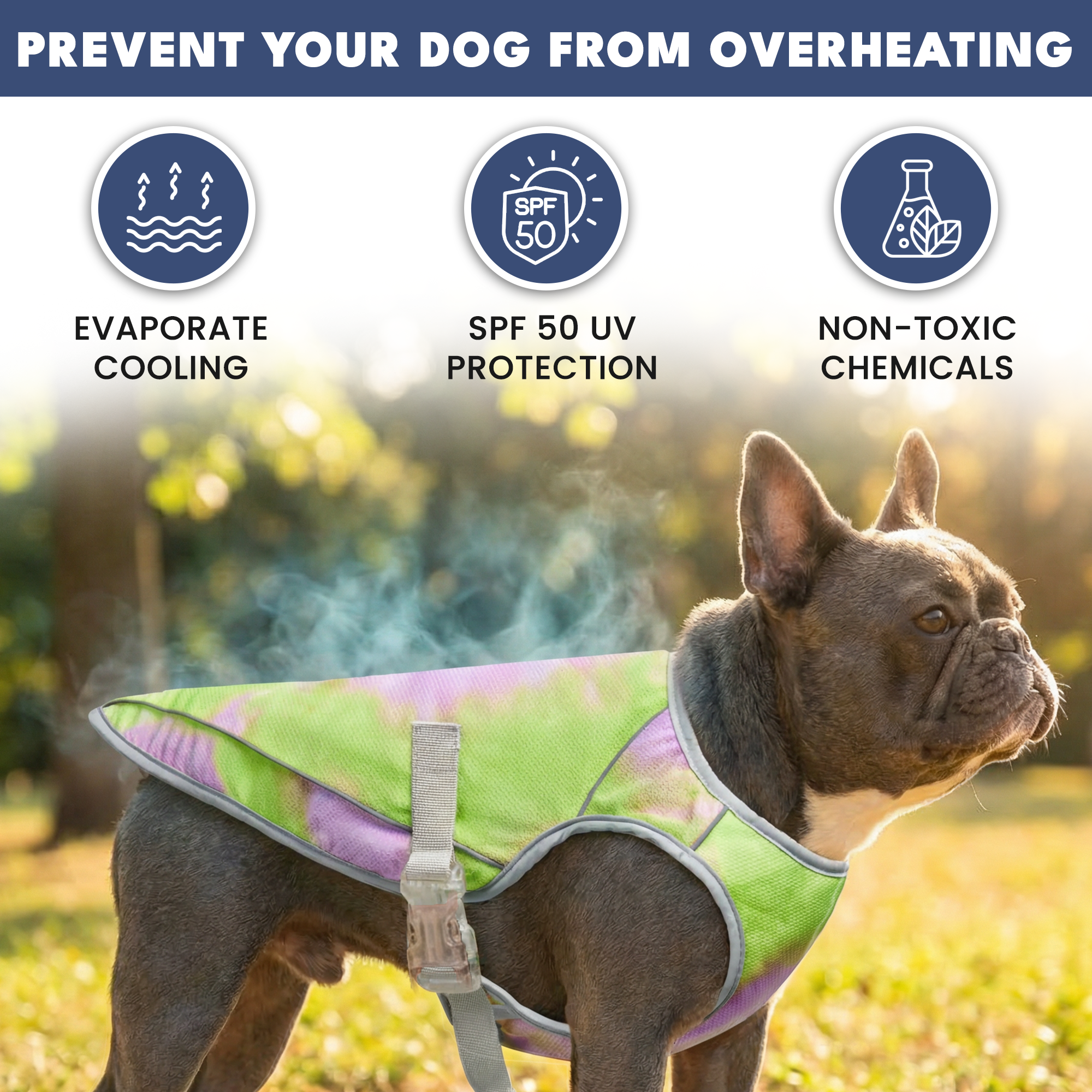 Dog Cooling Vest - Neon Purple - Image 5