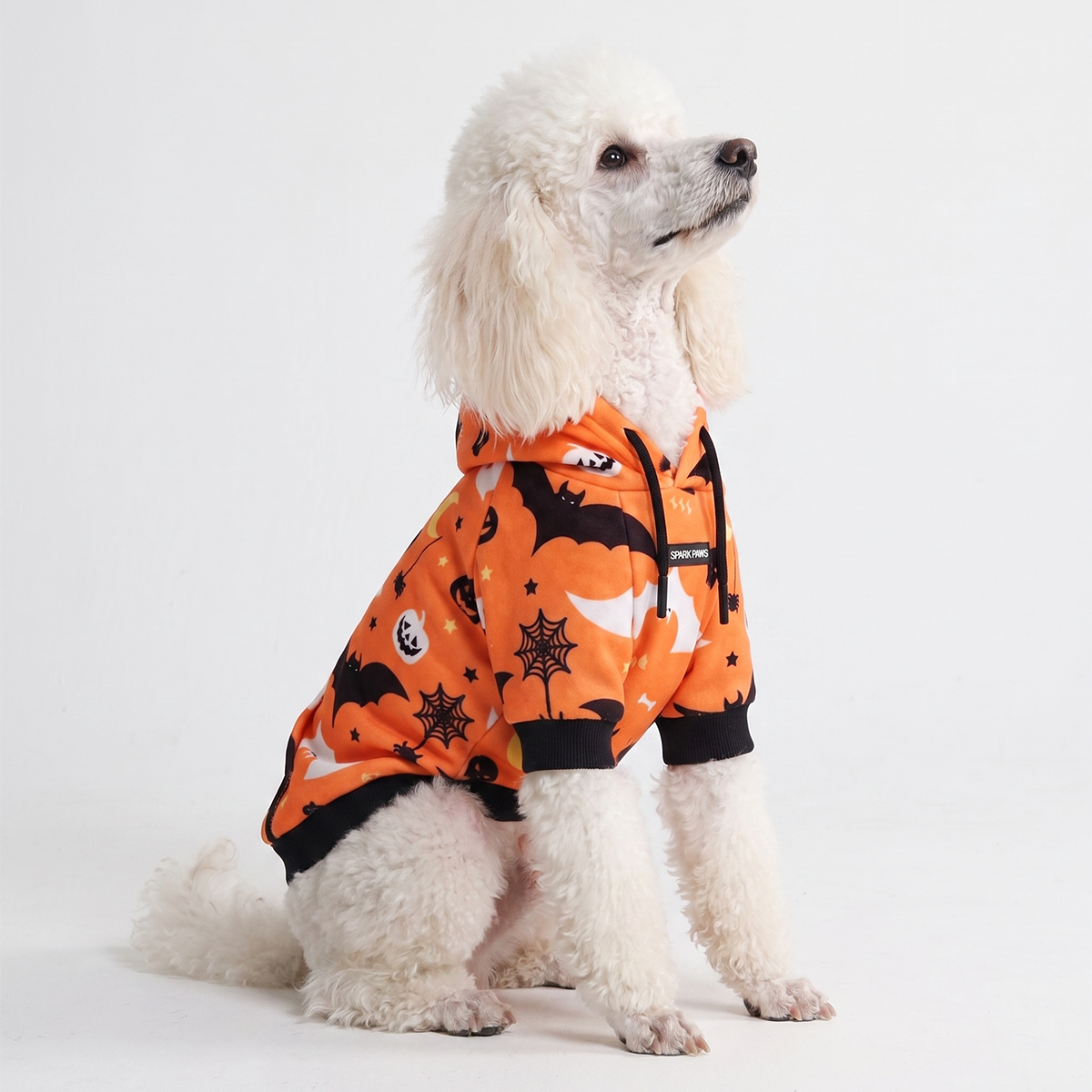 Halloween Dog Hoodie - Orange - Image 6