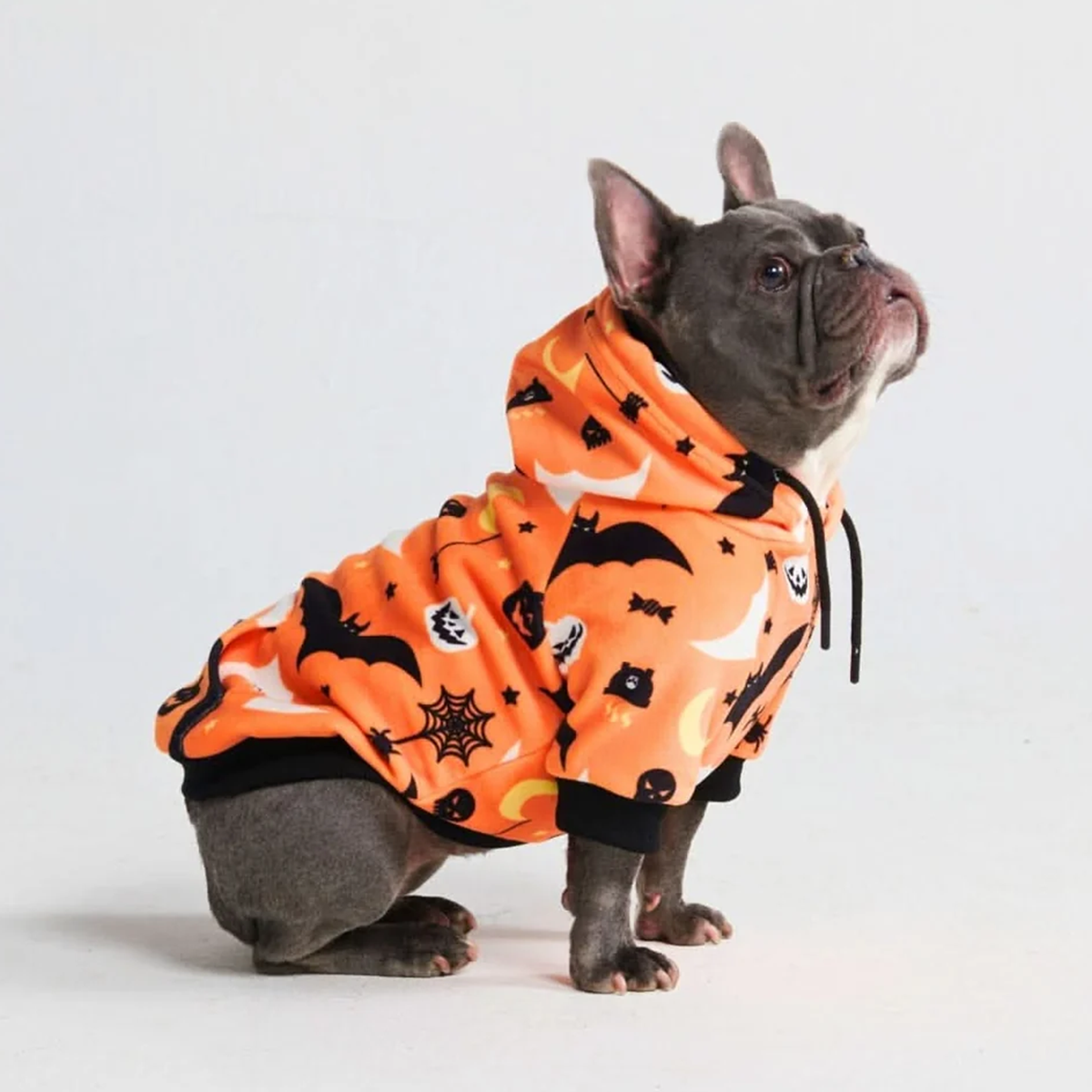 Halloween Dog Hoodie - Orange - Image 11