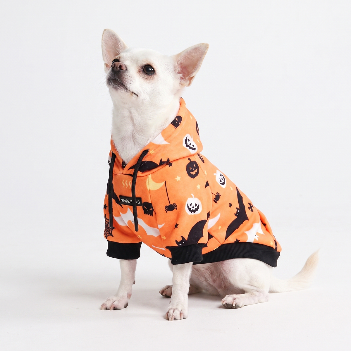 Halloween Dog Hoodie - Orange - Image 2