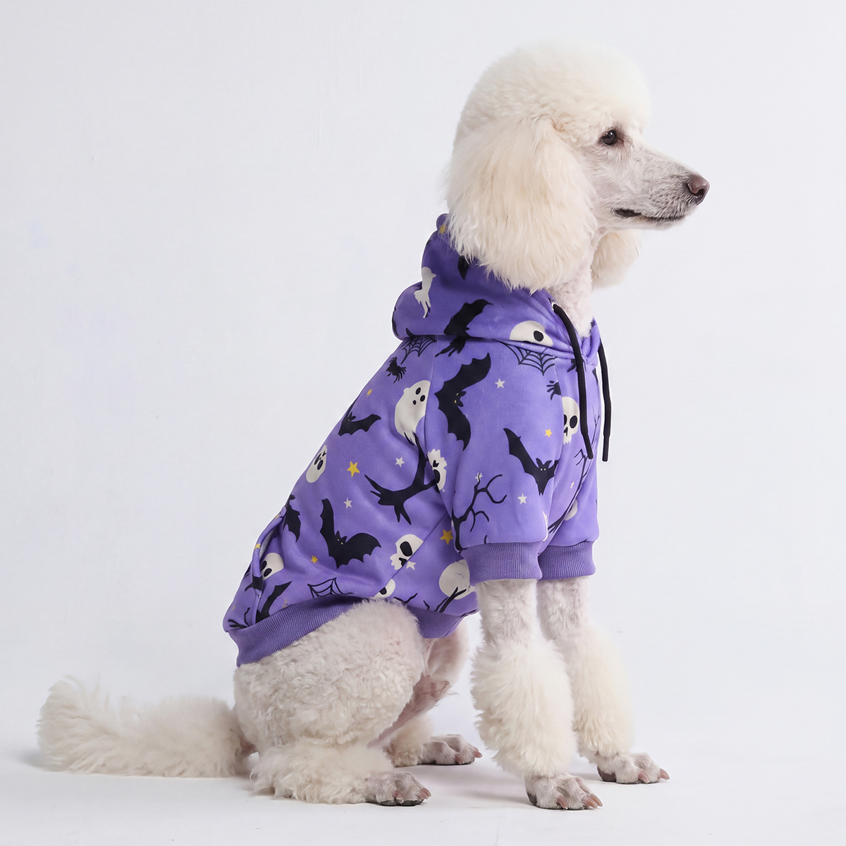 Halloween Dog Hoodie - Purple - Image 6