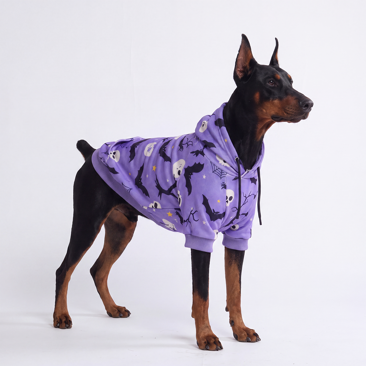 Halloween Dog Hoodie - Purple