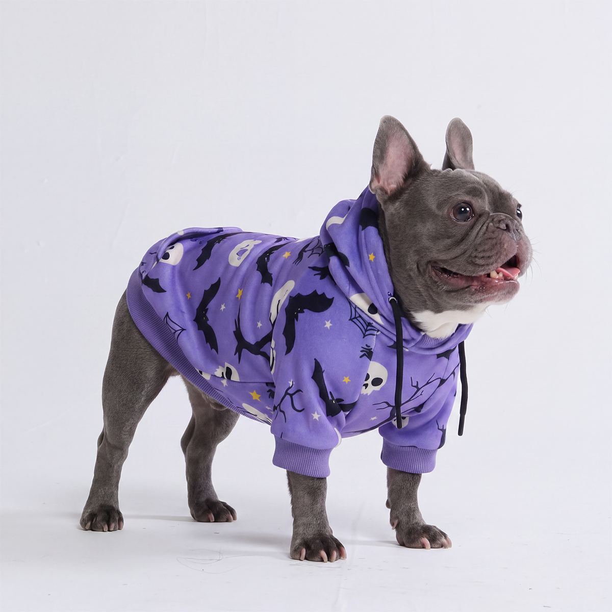 Halloween Dog Hoodie - Purple - Image 5