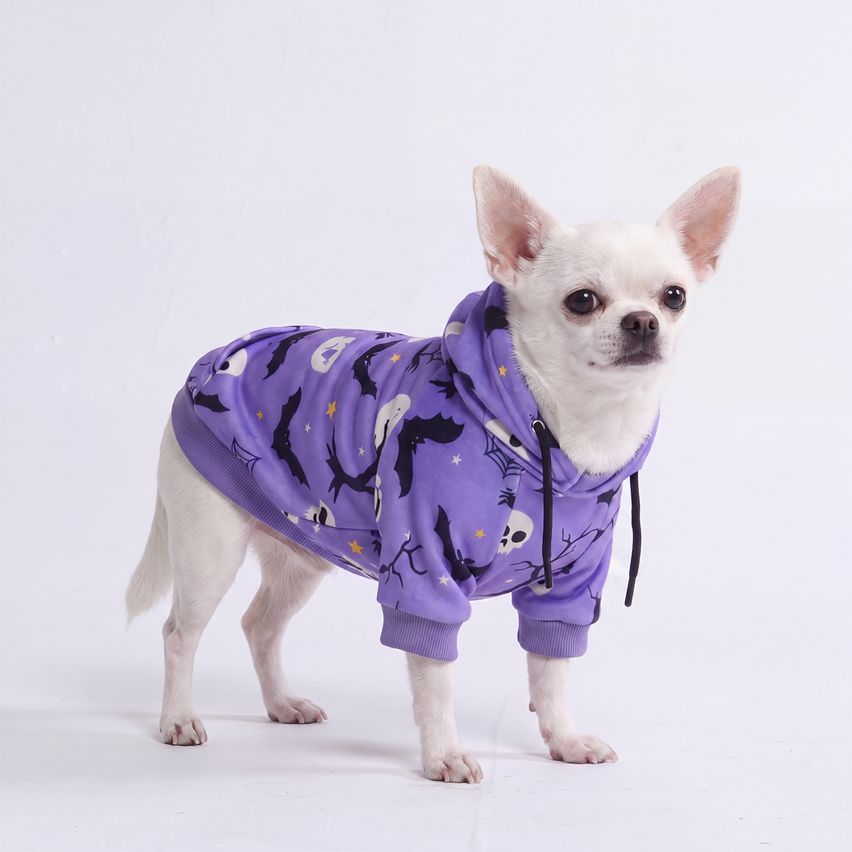 Halloween Dog Hoodie - Purple - Image 2
