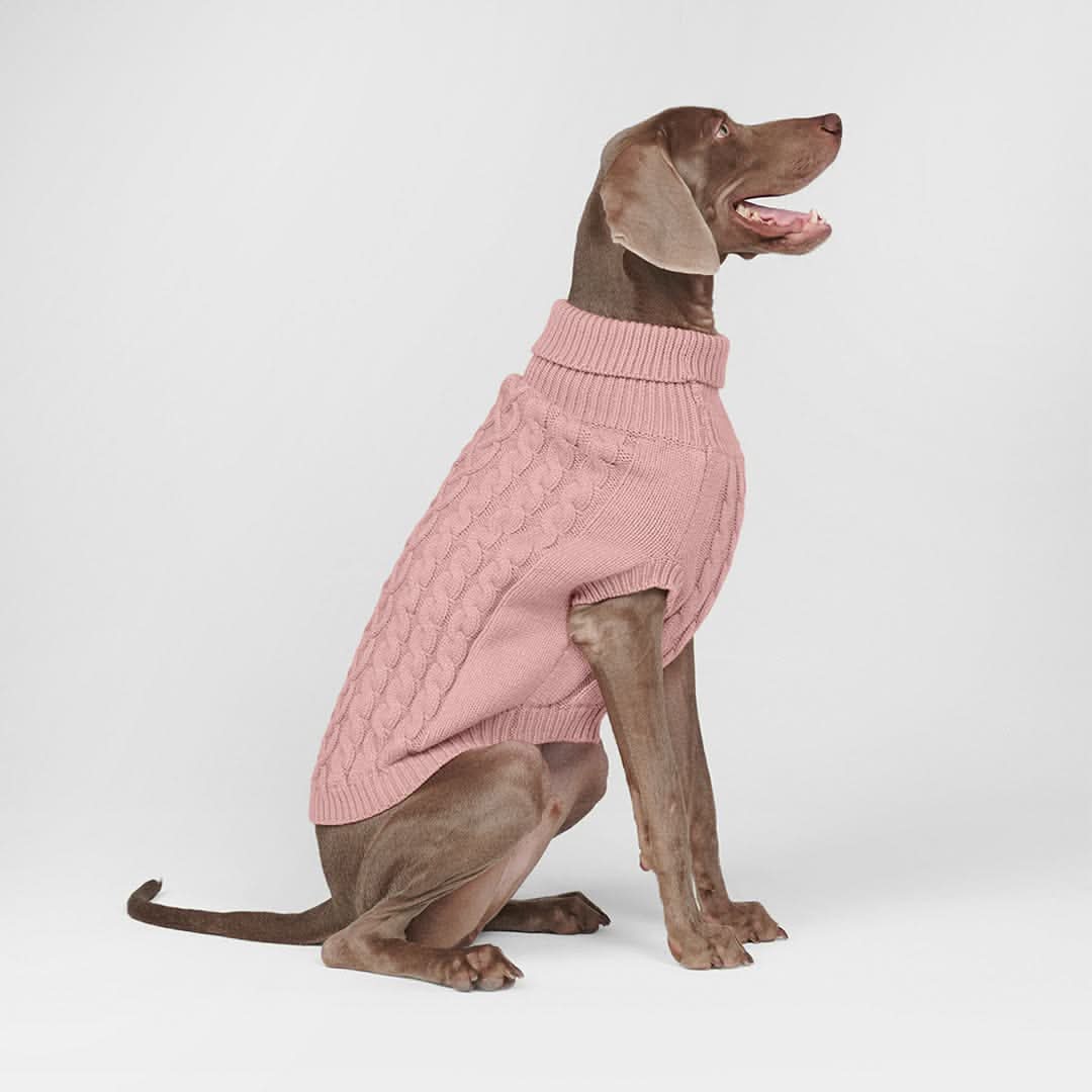 Cable Knit Dog Sweater - Pink - Image 5
