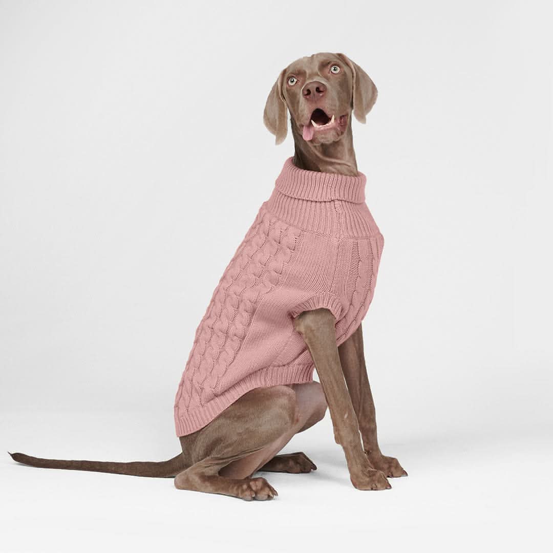 Cable Knit Dog Sweater - Pink - Image 13