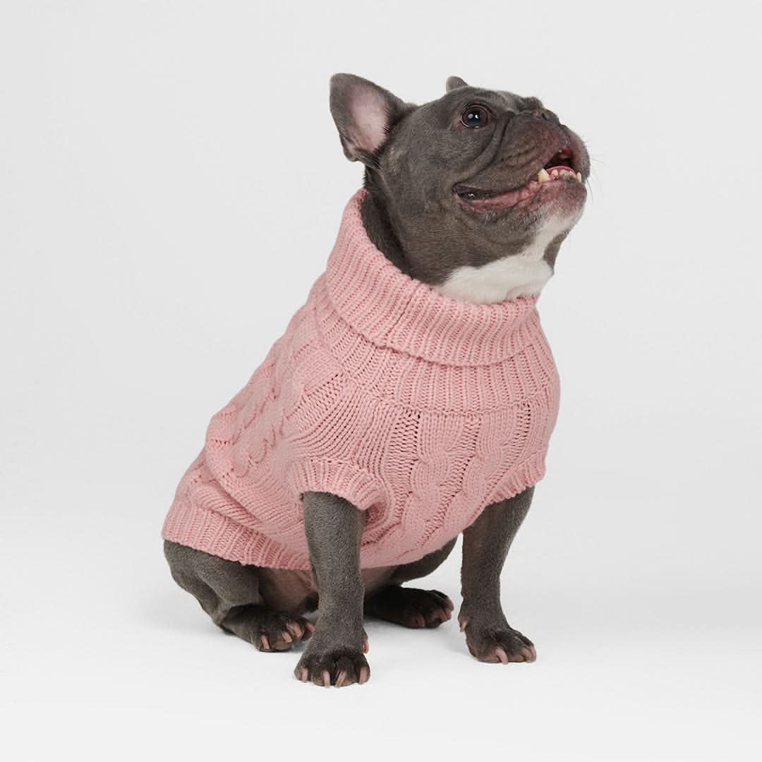 Cable Knit Dog Sweater - Pink - Image 11