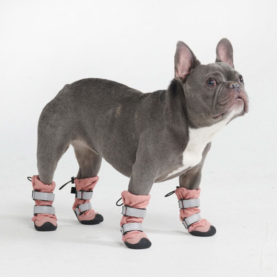 Dog Rainboots. Waterproof Dog Shoes - Pink - Image 2