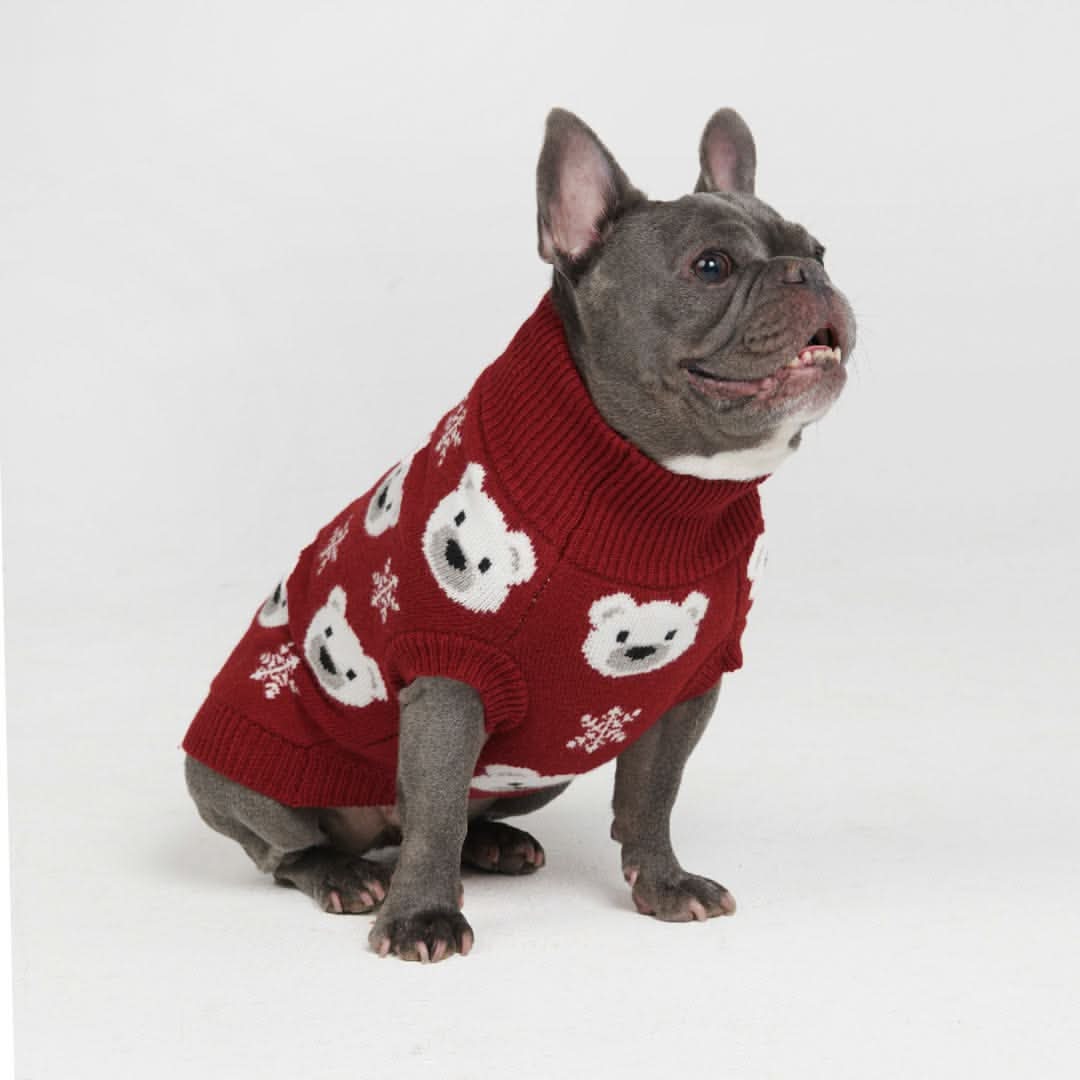 Polar Bear Knit Dog Sweater - Image 4