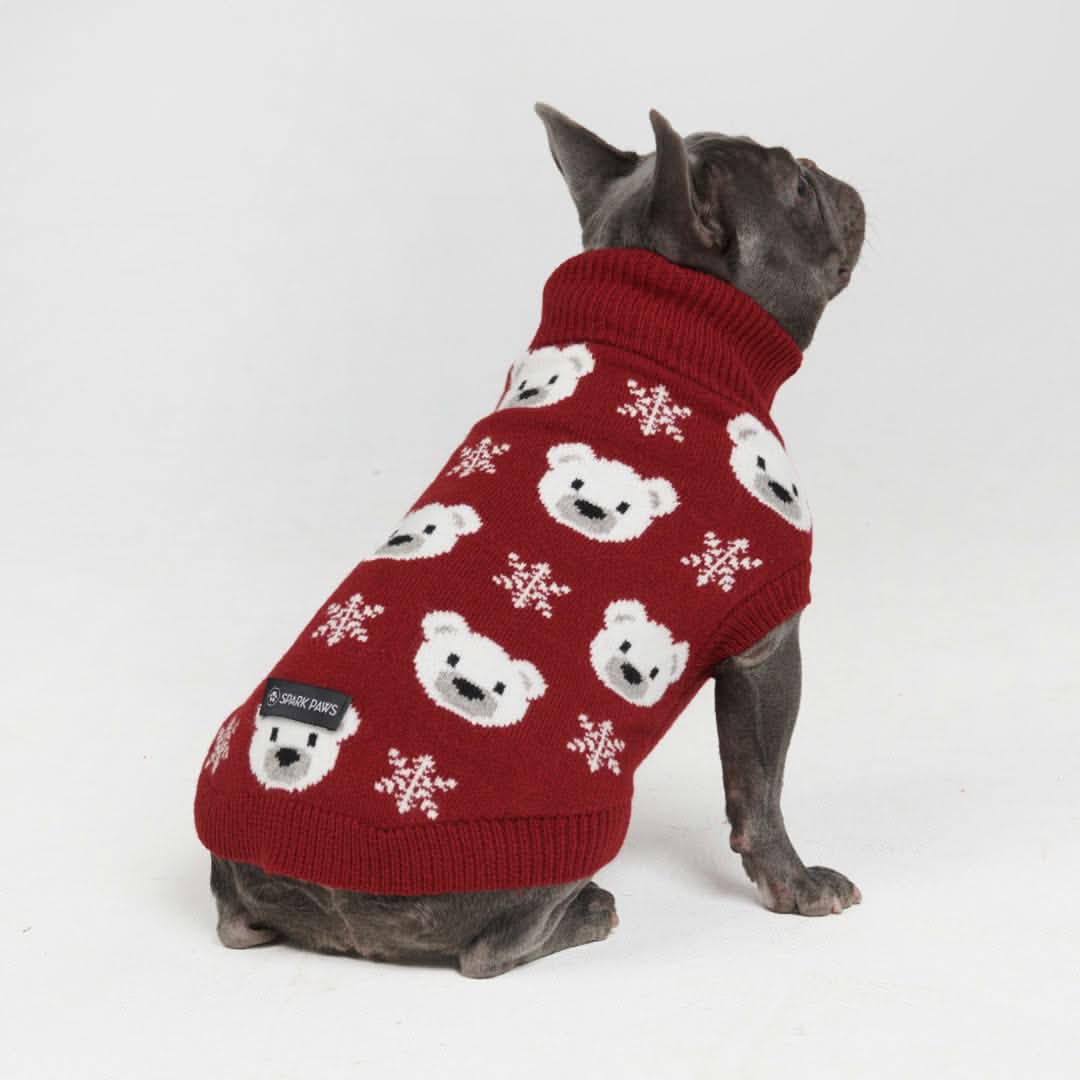Polar Bear Knit Dog Sweater - Image 3