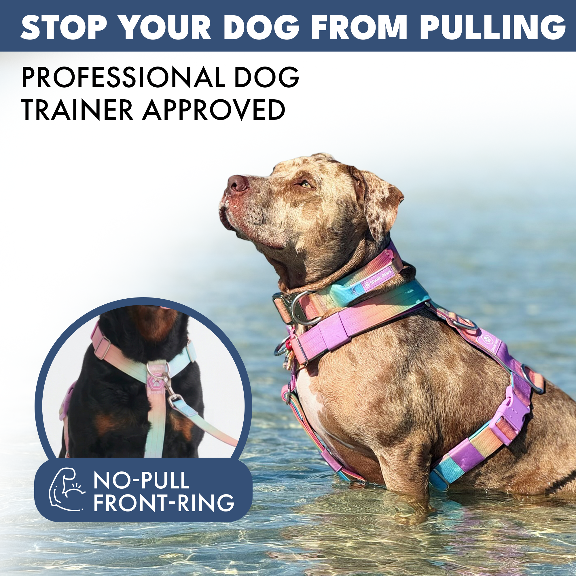 Comfort Control No-Pull Dog Harness Set - Pastel Icing - Image 3