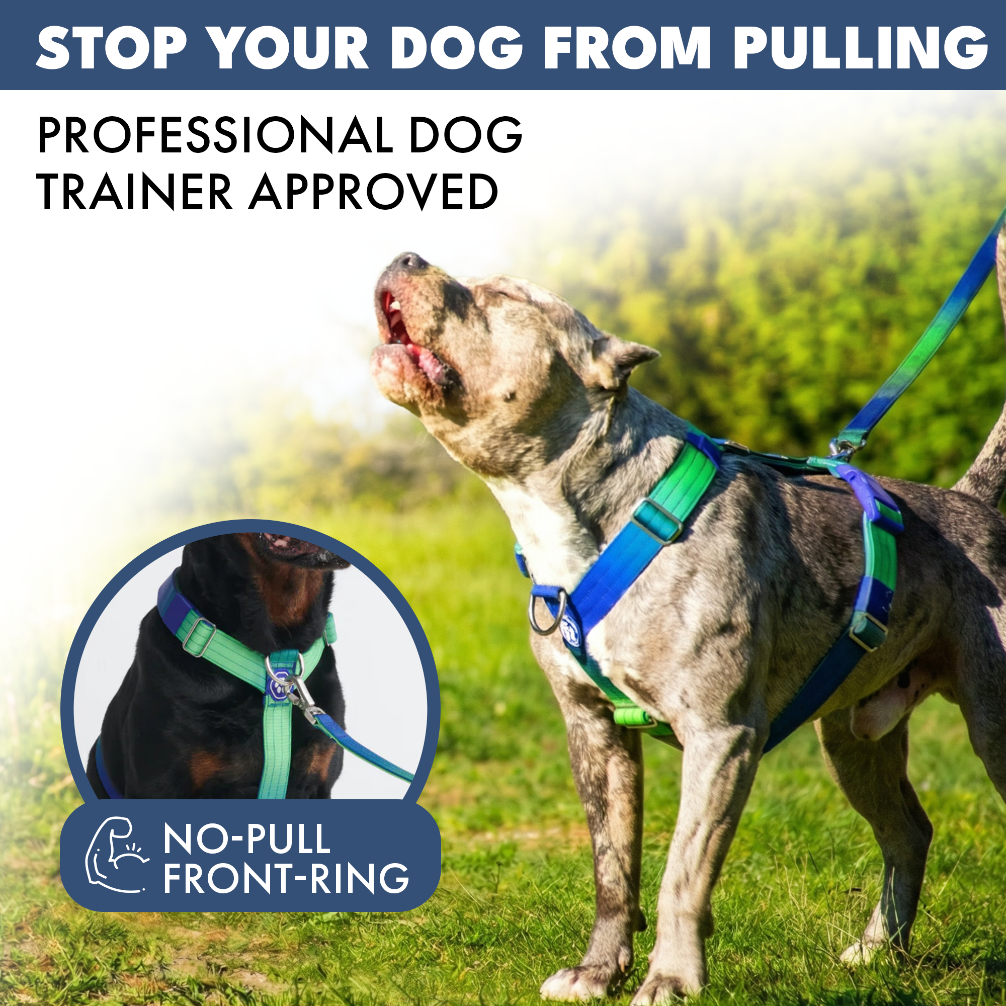 Comfort Control No-Pull Dog Harnesses - Image 19