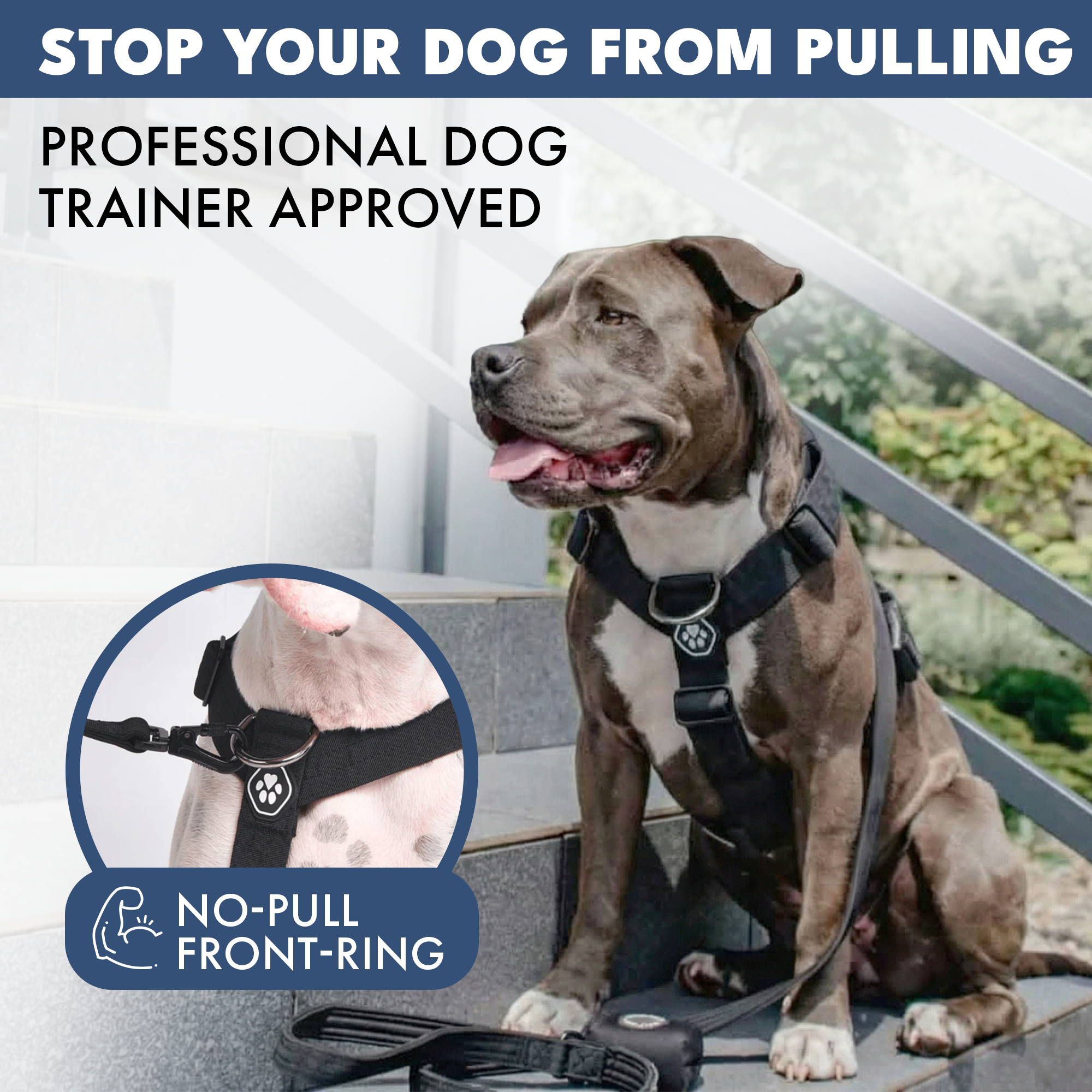 Comfort Control No-Pull Dog Harnesses - Image 27