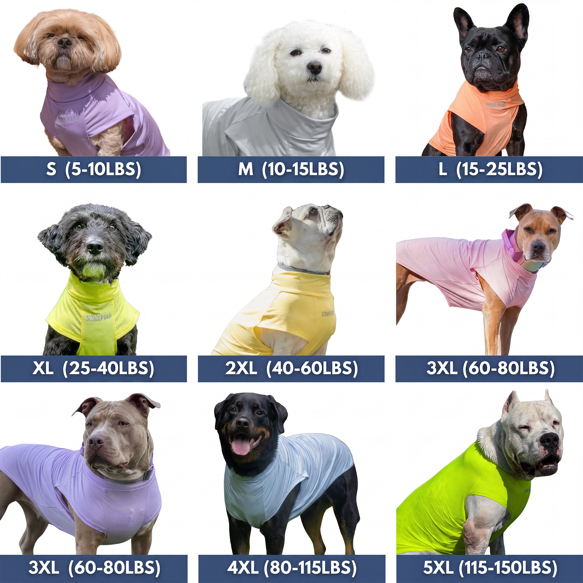 Sunblock Dog T-Shirt (3-pack) - Bees. Flamingo. Berries - Image 6