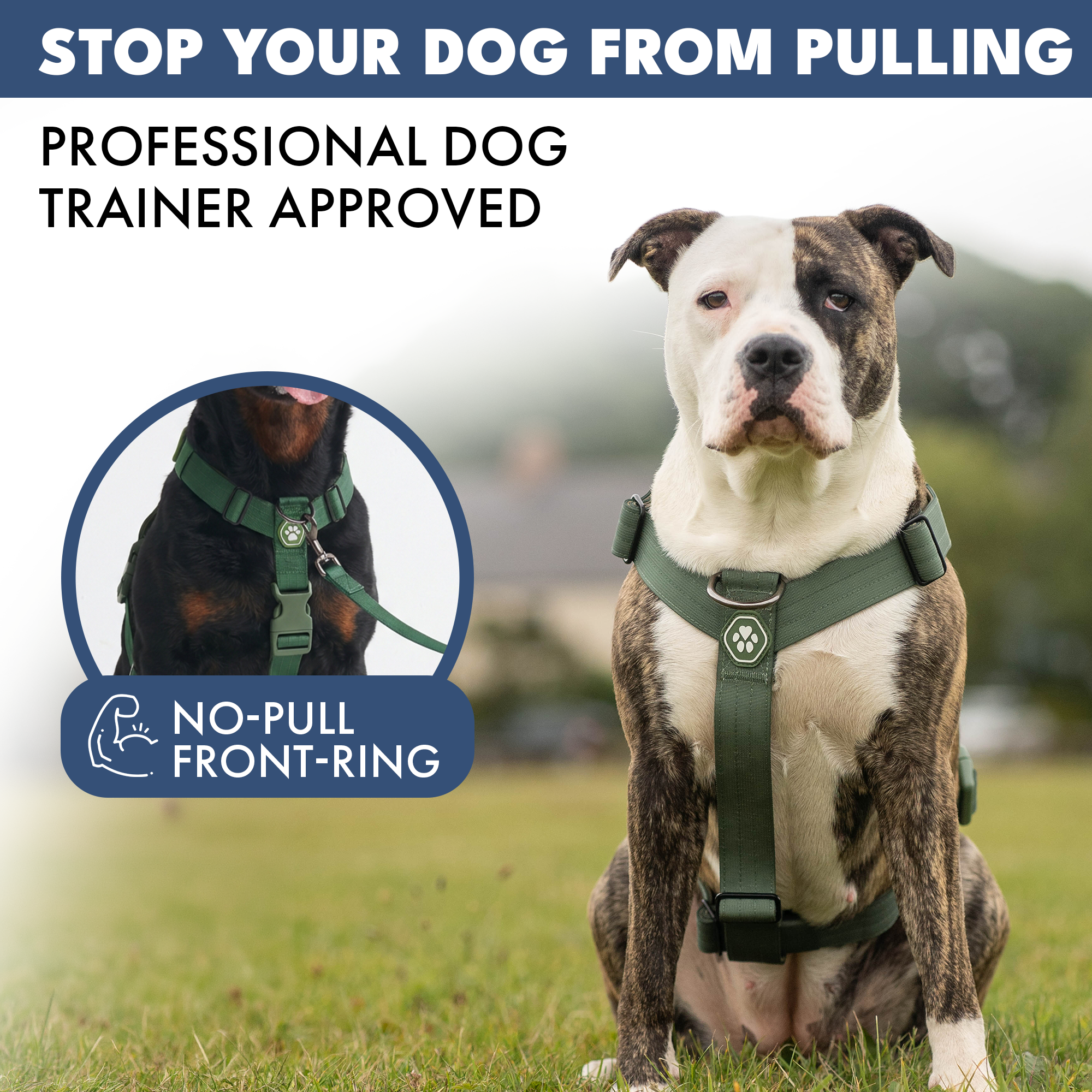 Comfort Control No-Pull Dog Harness Set - Army Green - Image 3