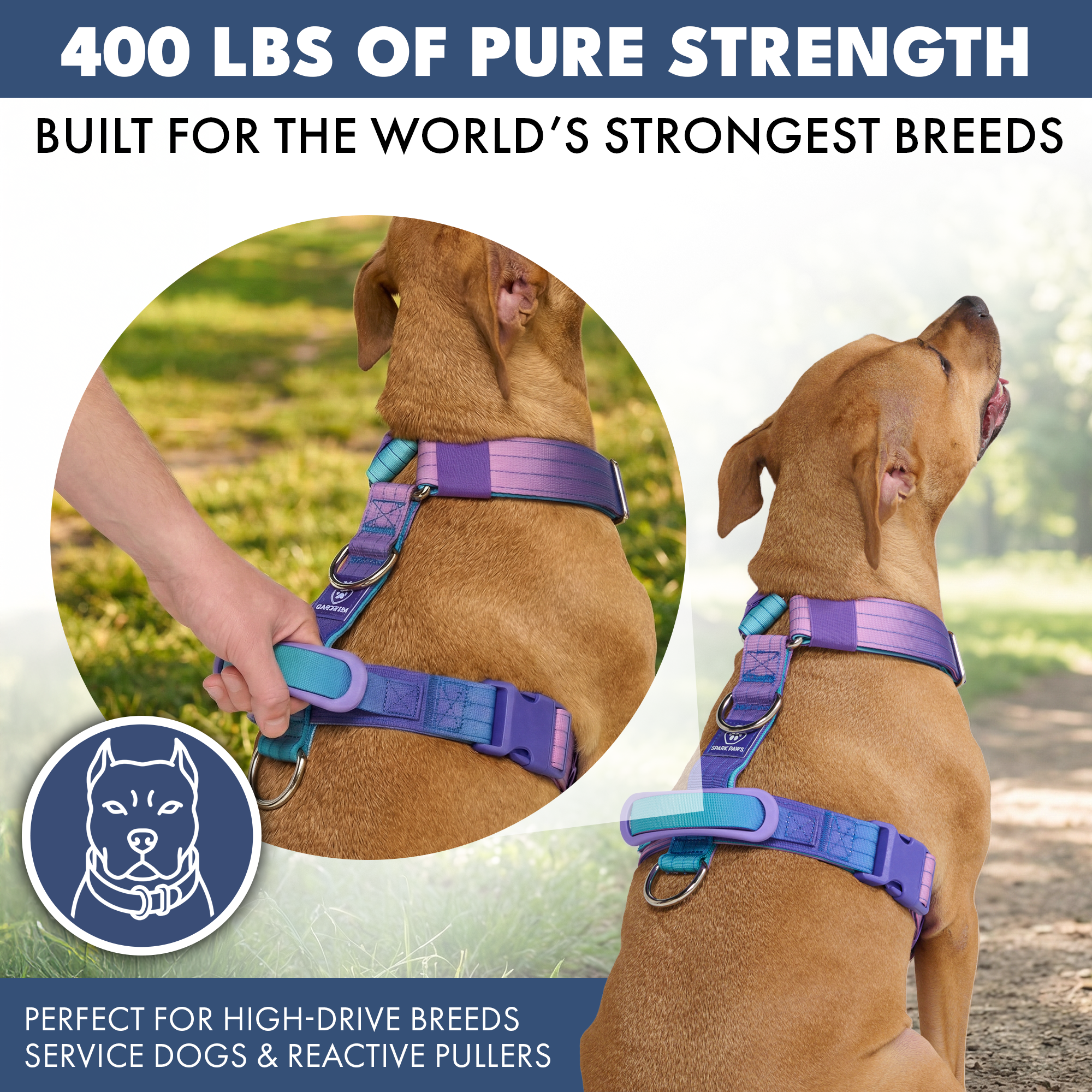 Comfort Control No-Pull Dog Harness - 90s Retro - Image 4