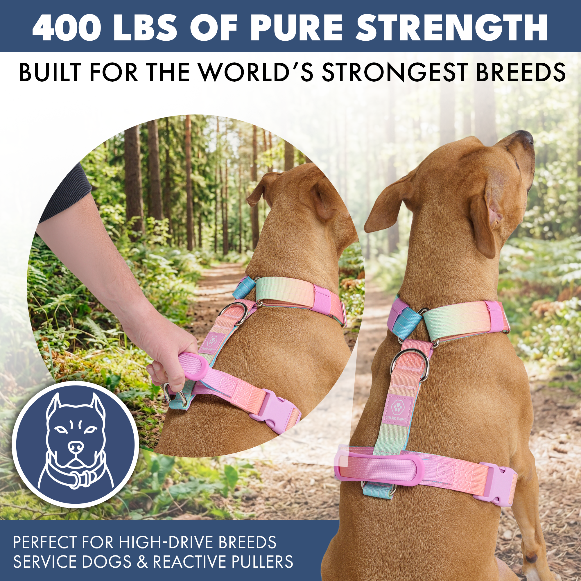 Comfort Control No-Pull Dog Harness Set - Pastel Icing - Image 4