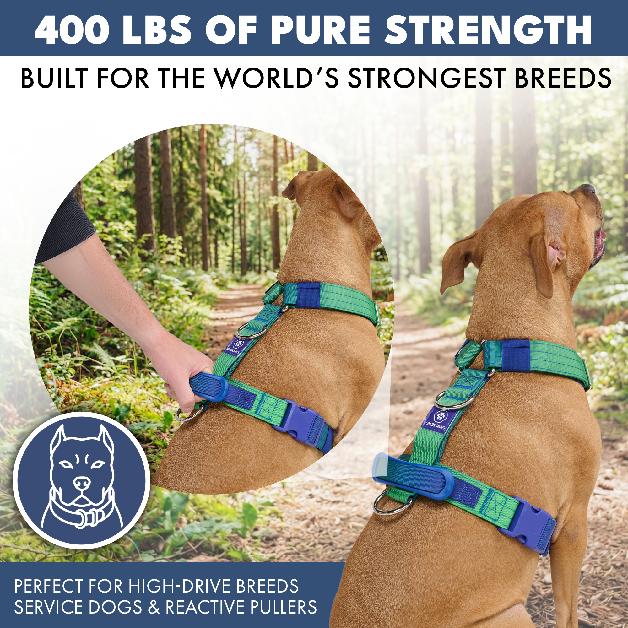 Comfort Control No-Pull Dog Harnesses - Image 20