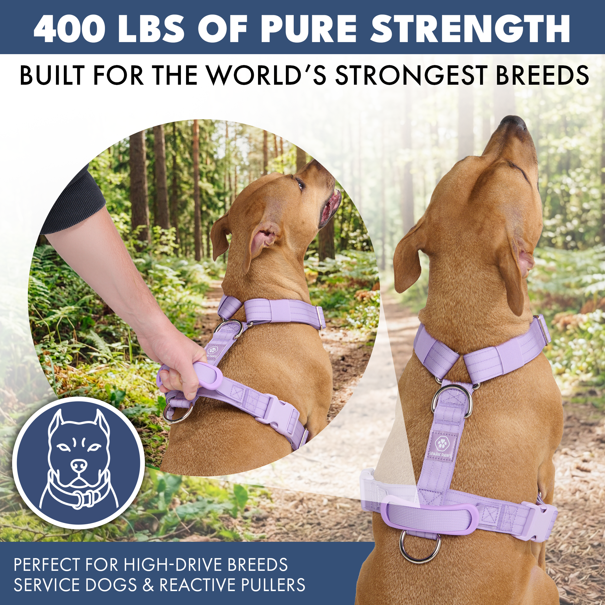 Comfort Control No-Pull Dog Harness Set - Lilac - Image 4