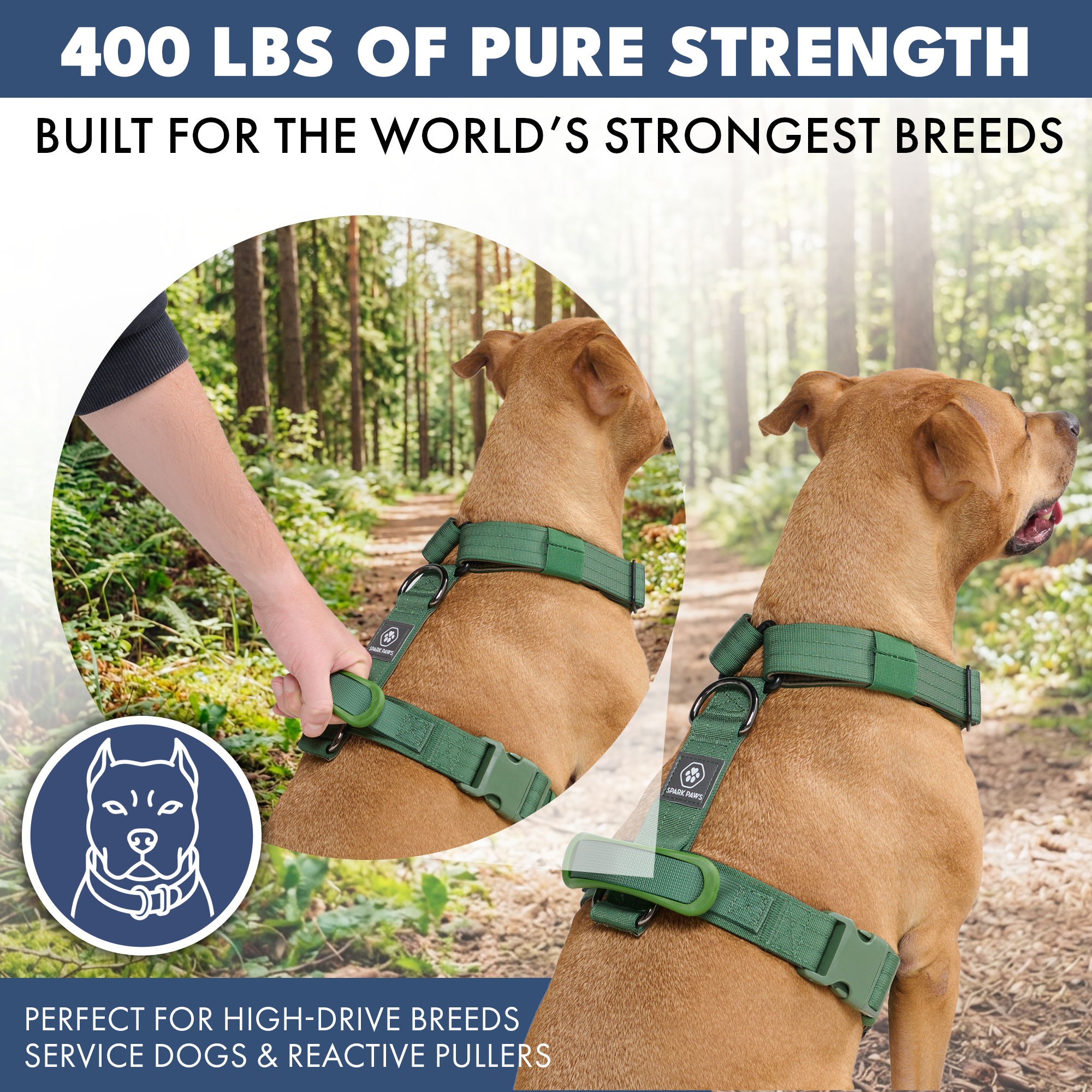 Comfort Control No-Pull Dog Harness Set - Army Green - Image 4