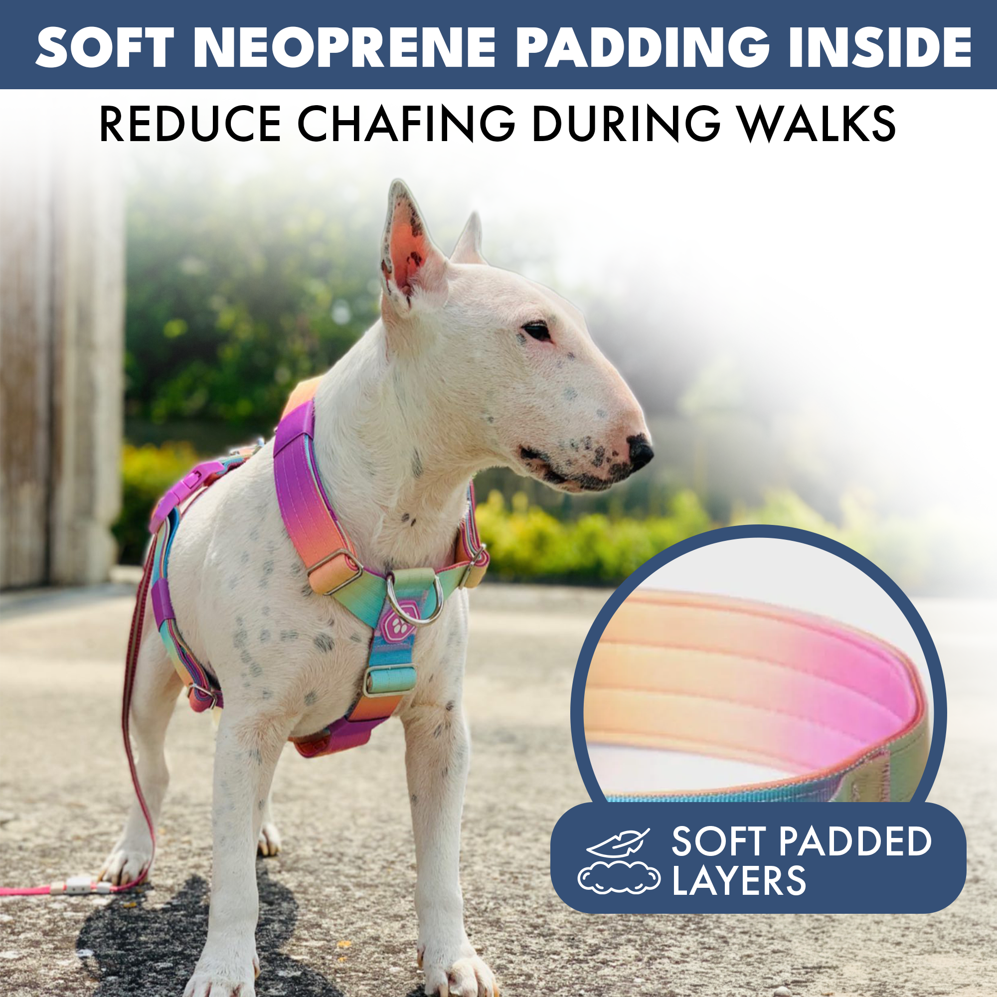 Comfort Control No-Pull Dog Harness Set - Pastel Icing - Image 5