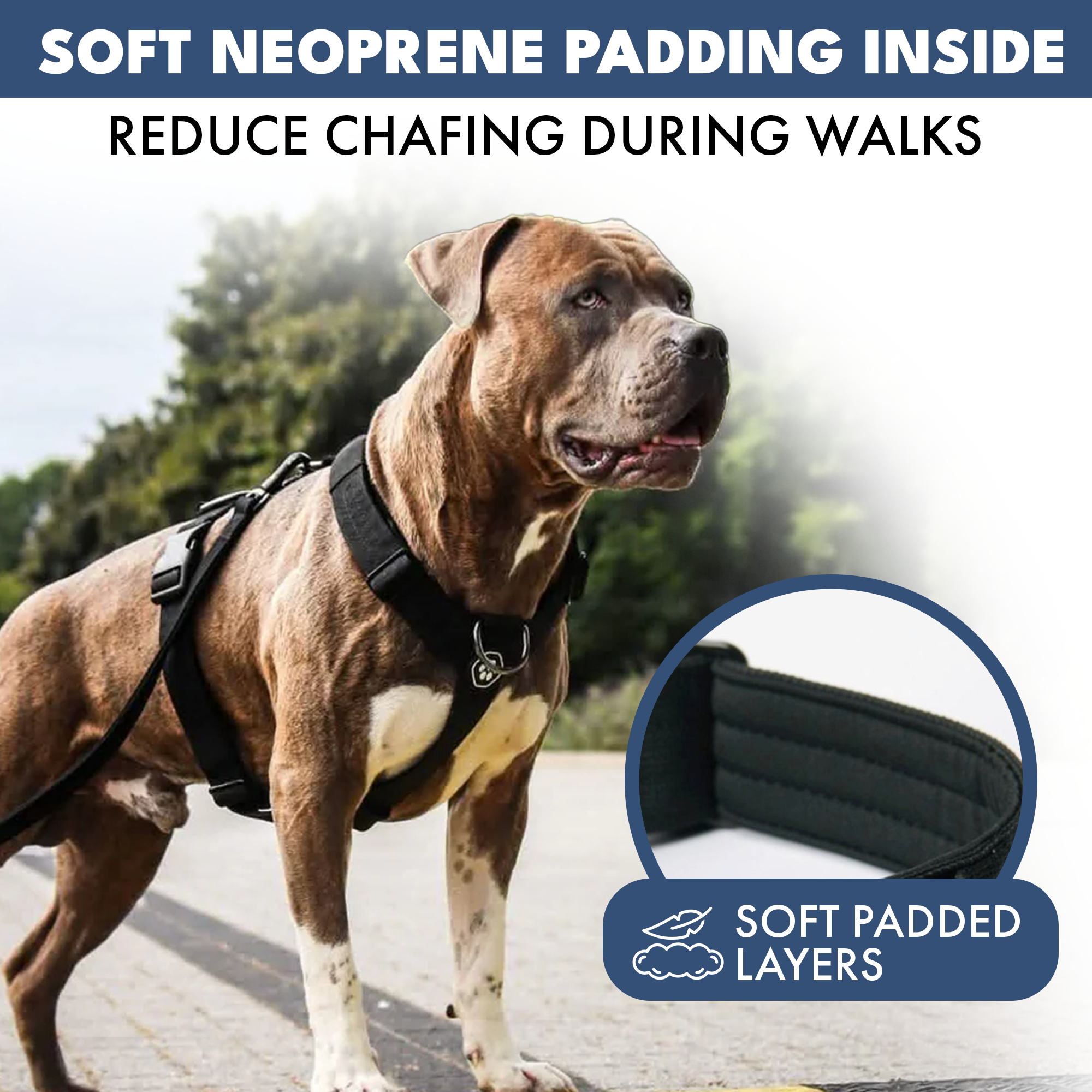 Comfort Control No-Pull Dog Harnesses - Image 30