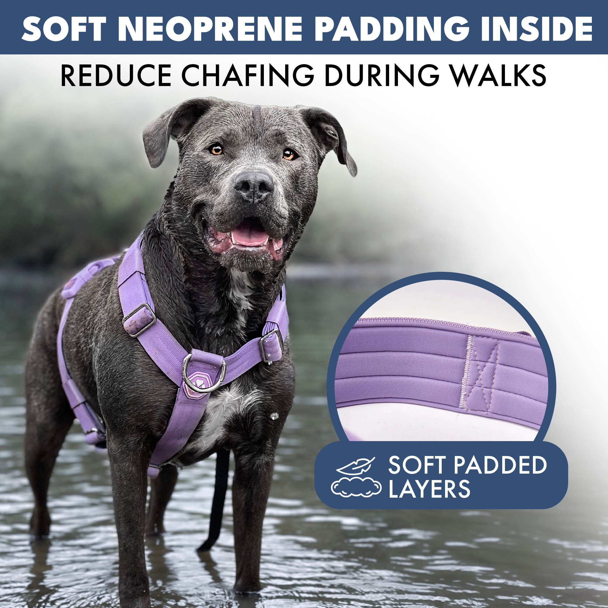 Comfort Control No-Pull Dog Harness Set - Lilac - Image 5