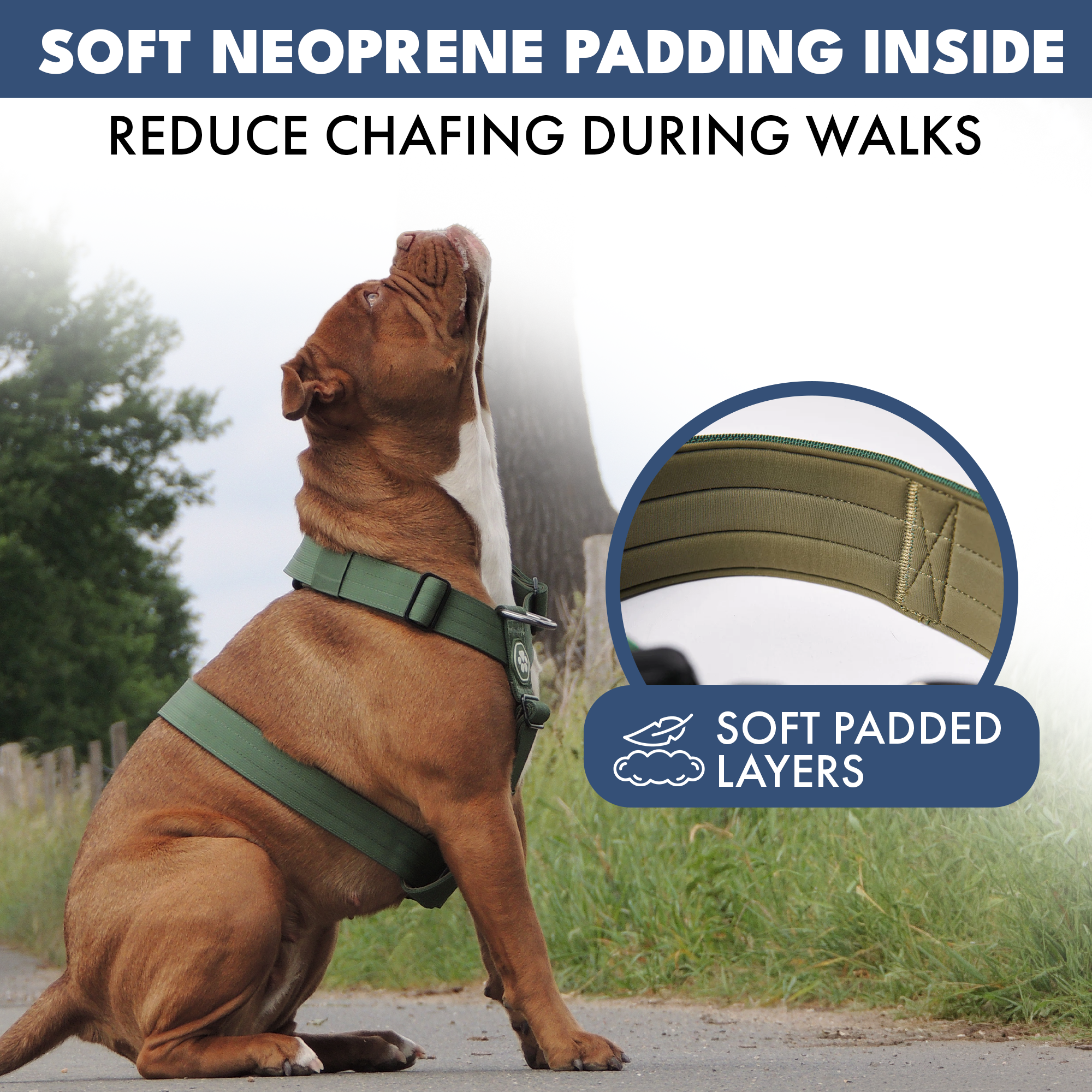 Comfort Control No-Pull Dog Harness Set - Army Green - Image 5