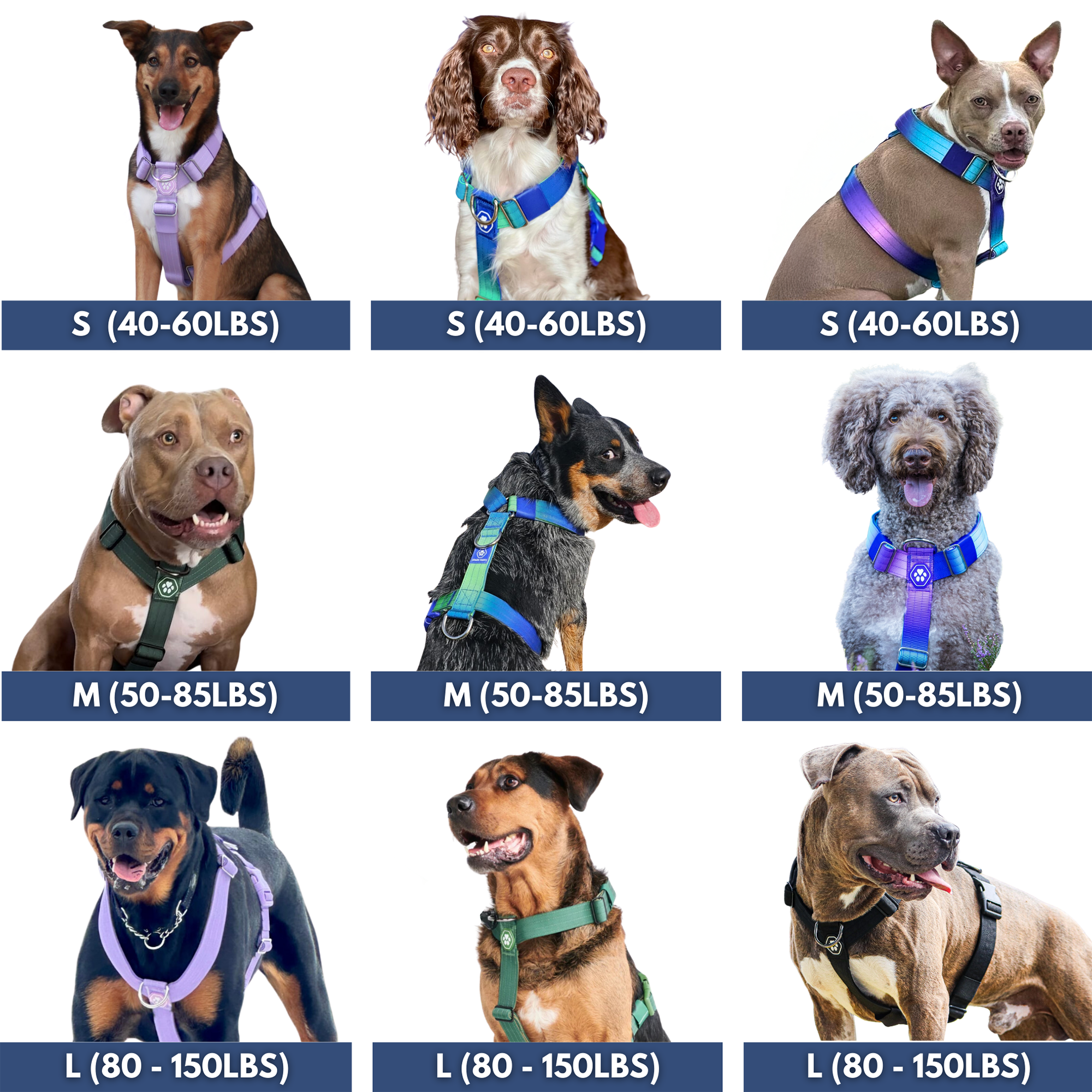 Comfort Control No-Pull Dog Harness - Pastel Icing - Image 6