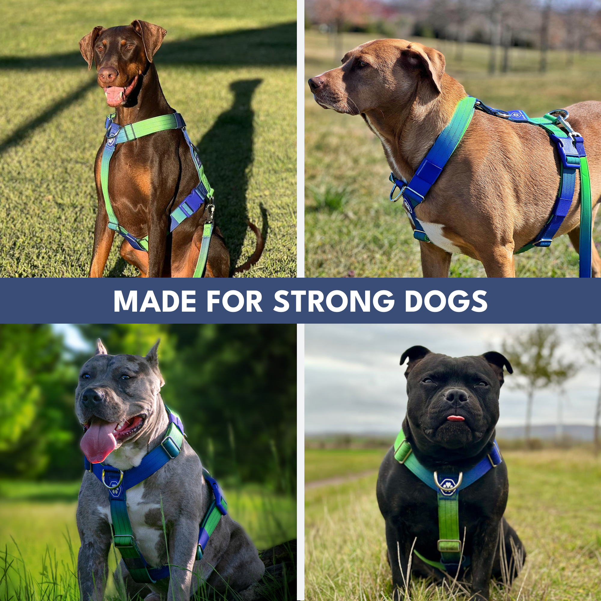 Comfort Control No-Pull Dog Harnesses - Image 23
