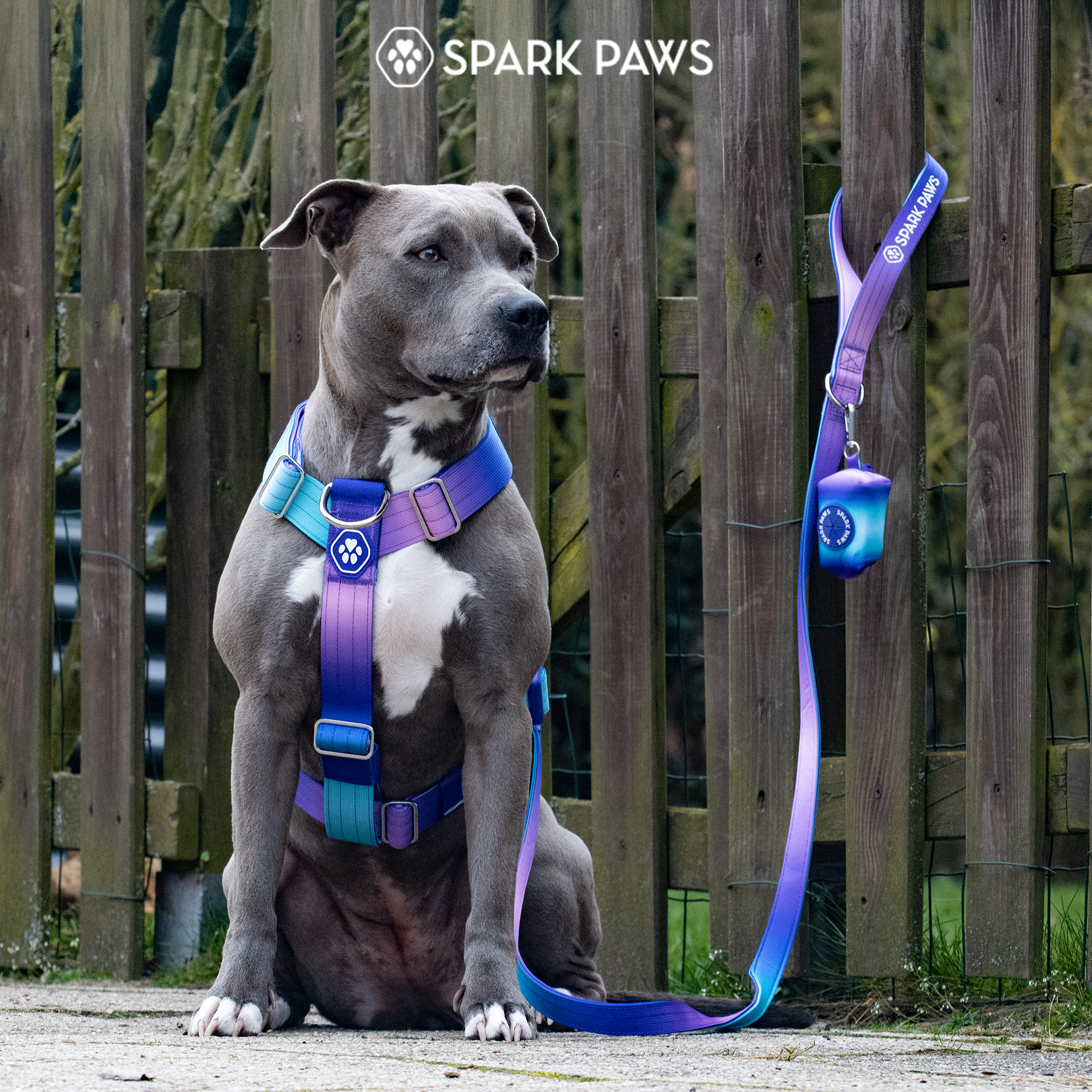 Comfort Control No-Pull Dog Harness - 90s Retro - Image 8