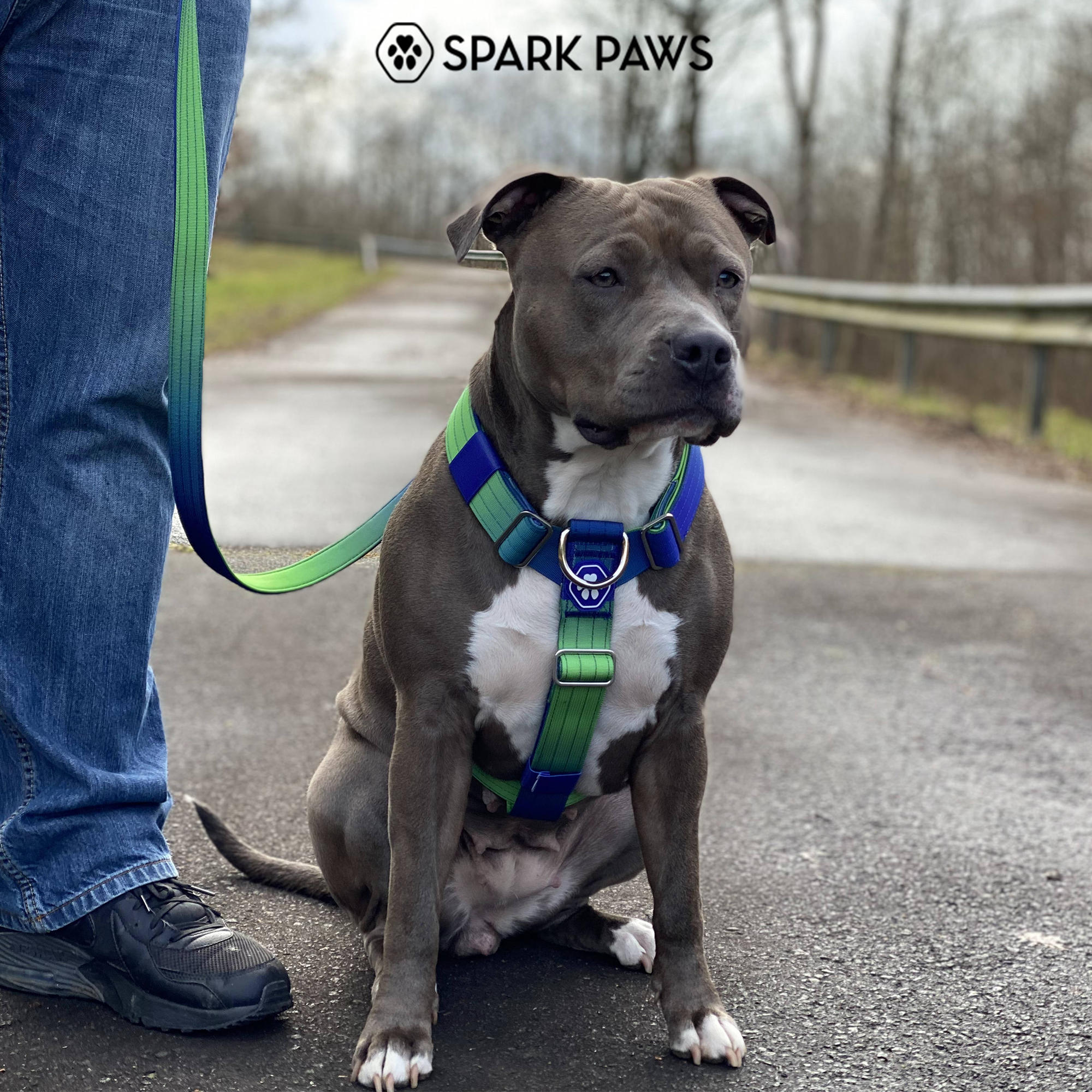 Comfort Control No-Pull Dog Harnesses - Image 24