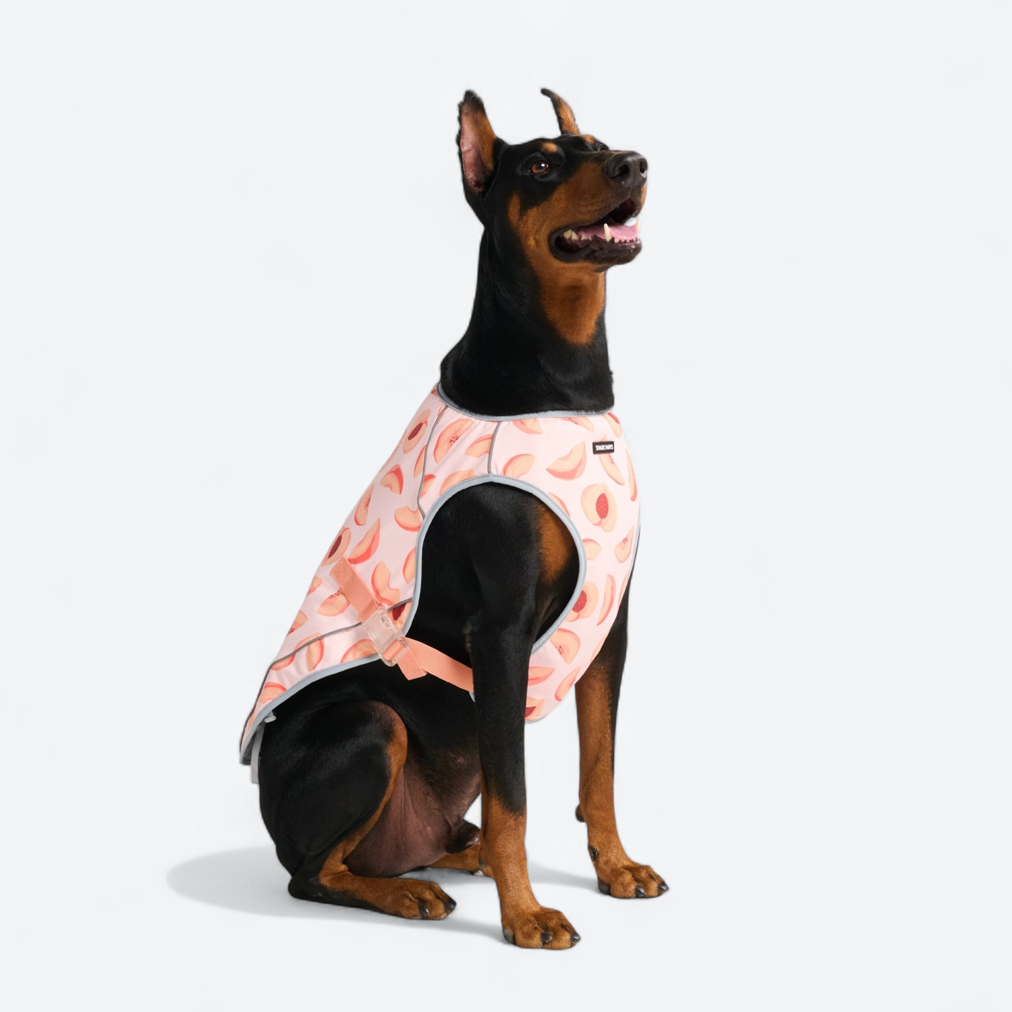 Dog Cooling Vest - Peaches - Image 4
