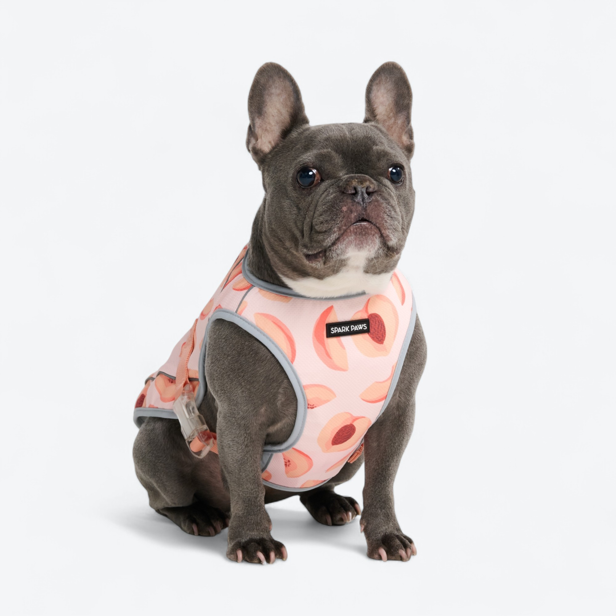 Dog Cooling Vest - Peaches - Image 3