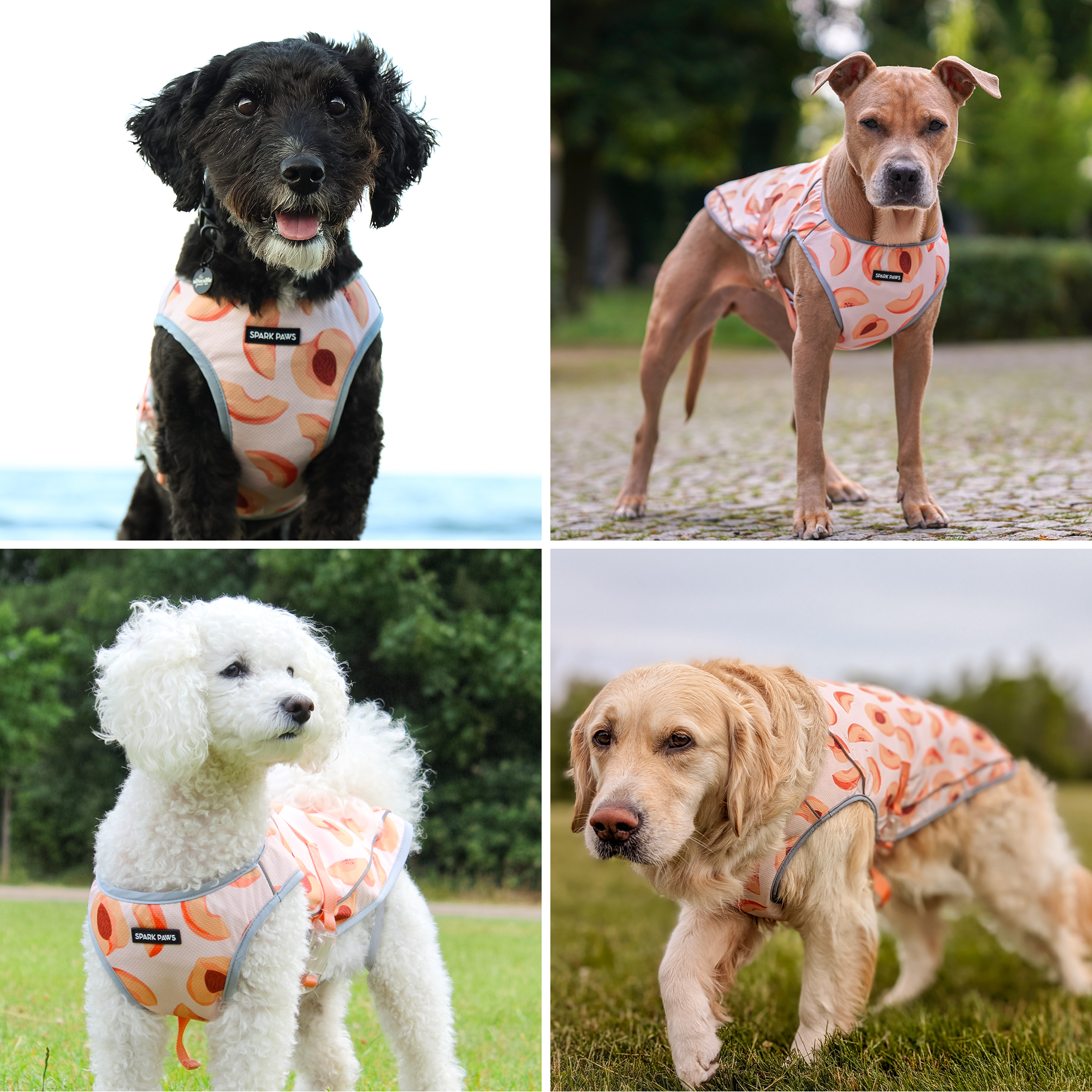 Dog Cooling Vest - Peaches - Image 9
