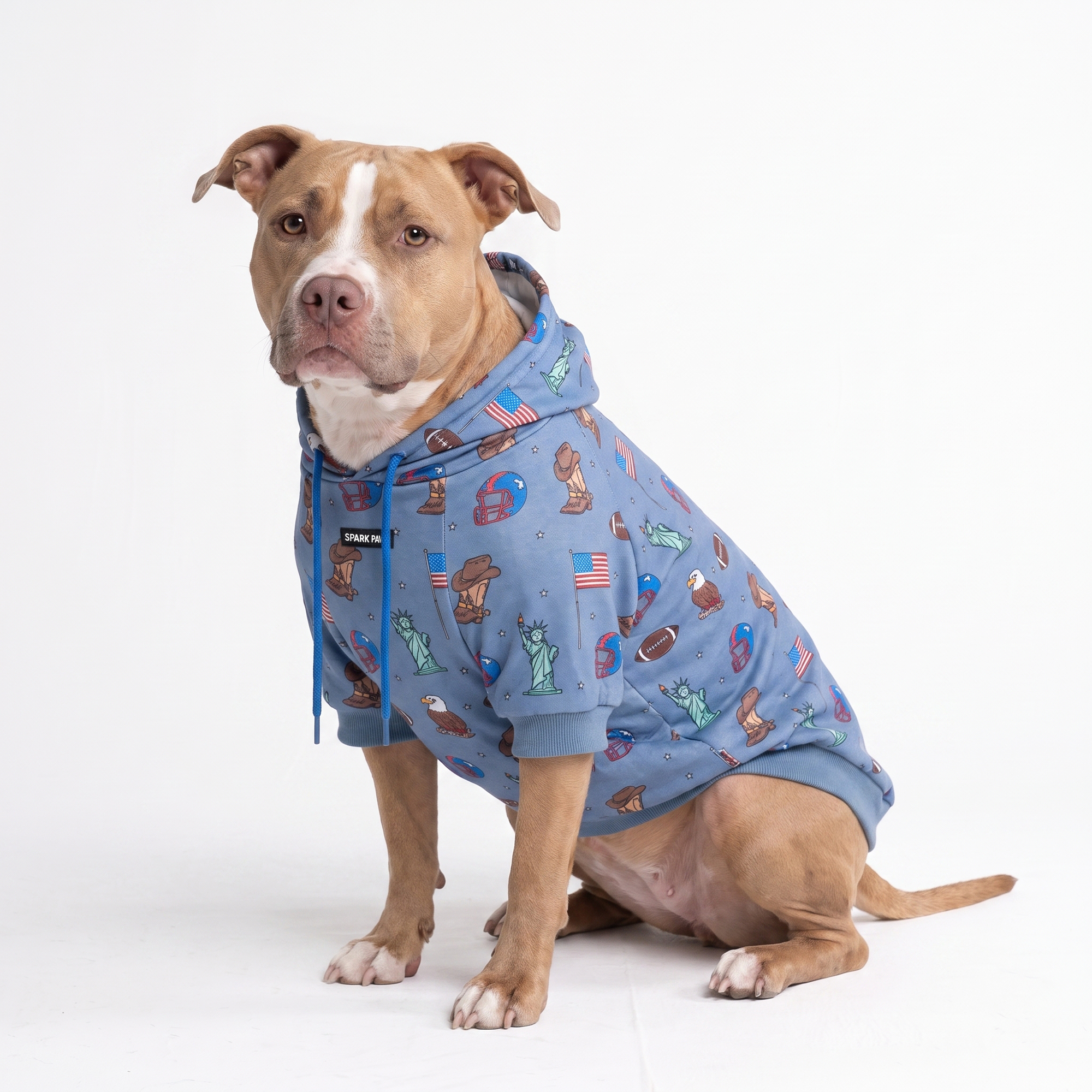 Around the World Dog Hoodies - Image 20