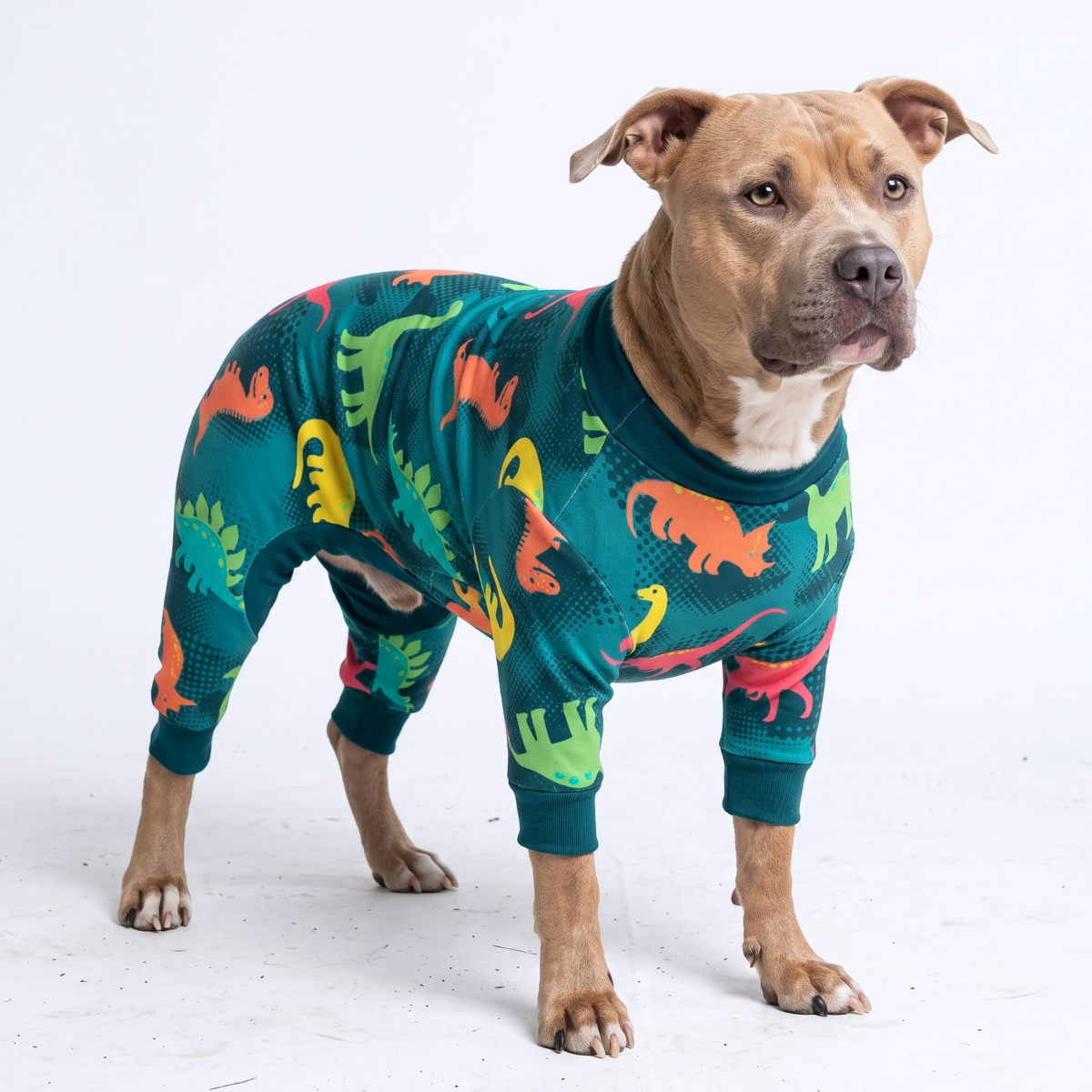 Dog Pajama - Dinosaurs - Image 7