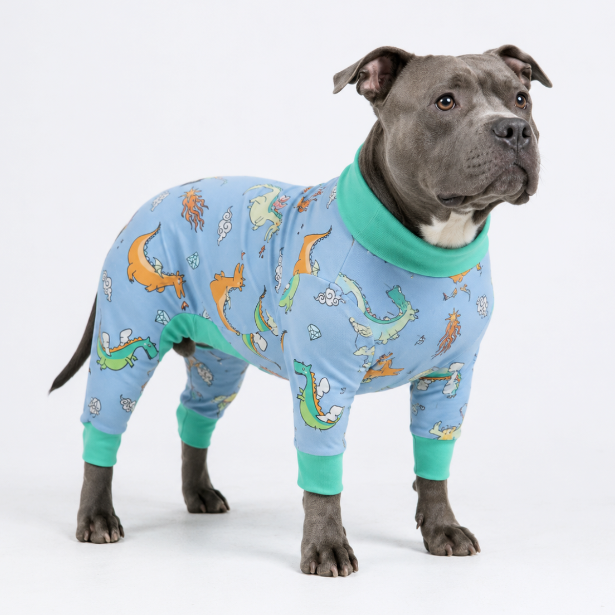 Dog Pajama - Dragons - Image 7