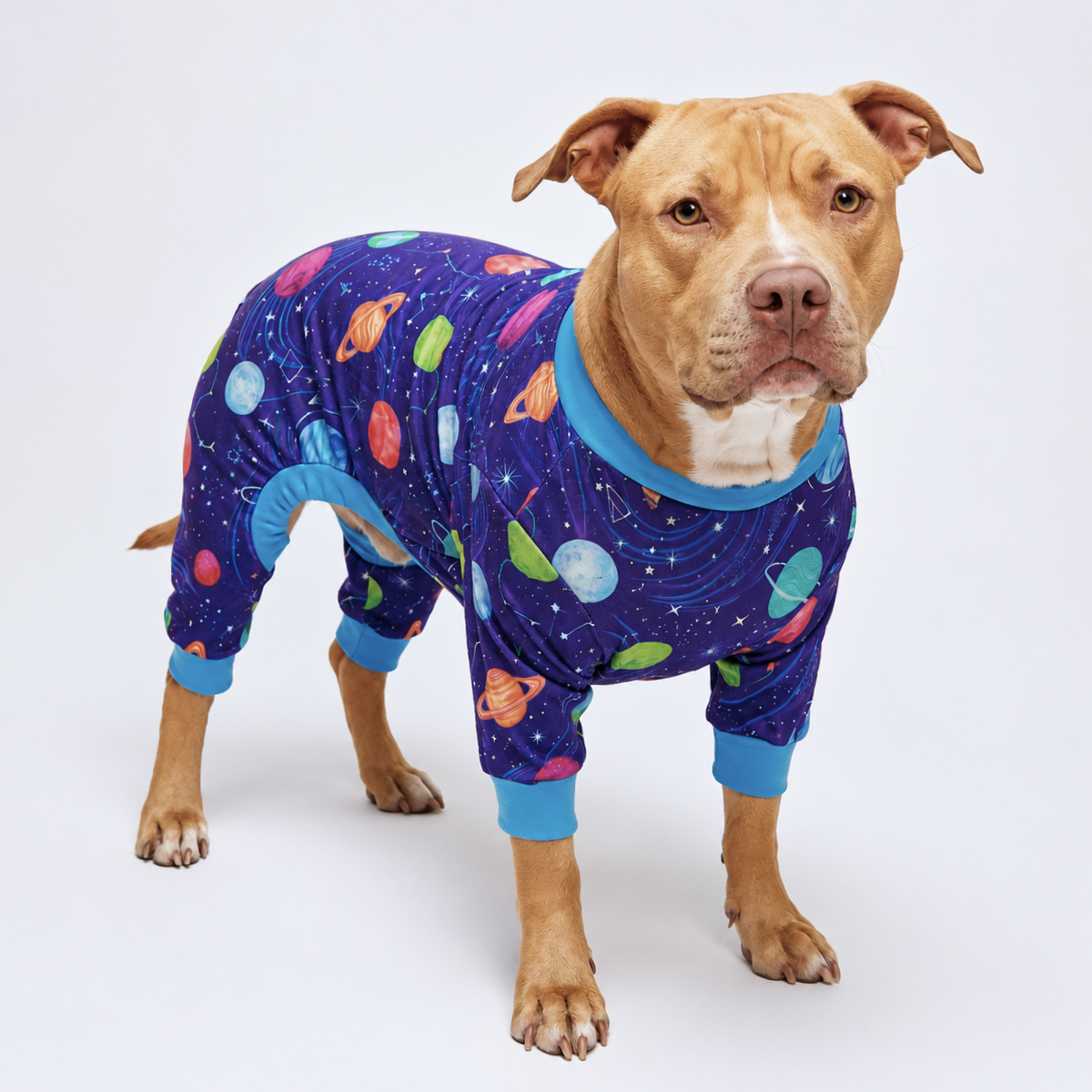 Dog Pajama - Planets - Image 6
