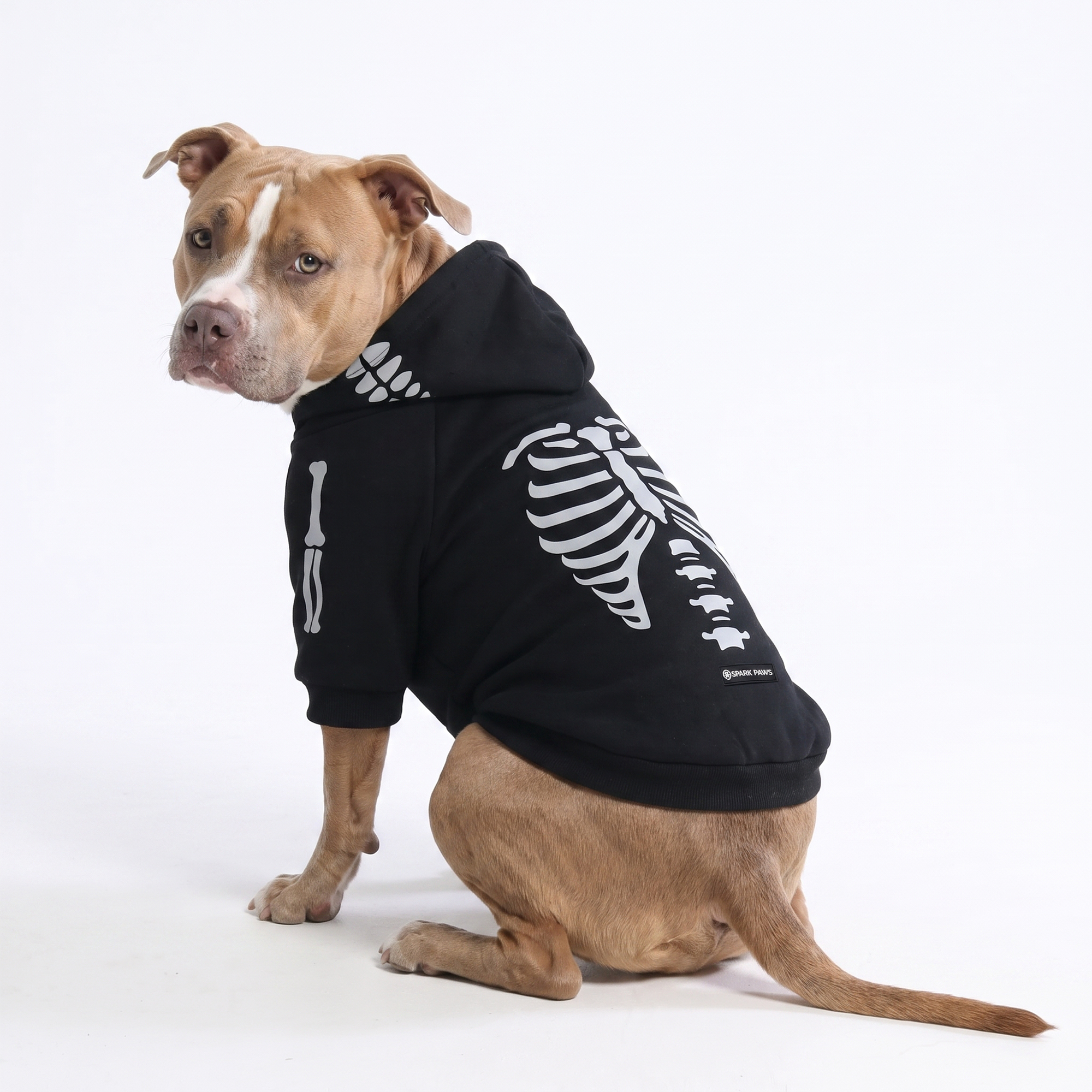 Halloween Dog Hoodie - Reflective Skeleton - Image 7