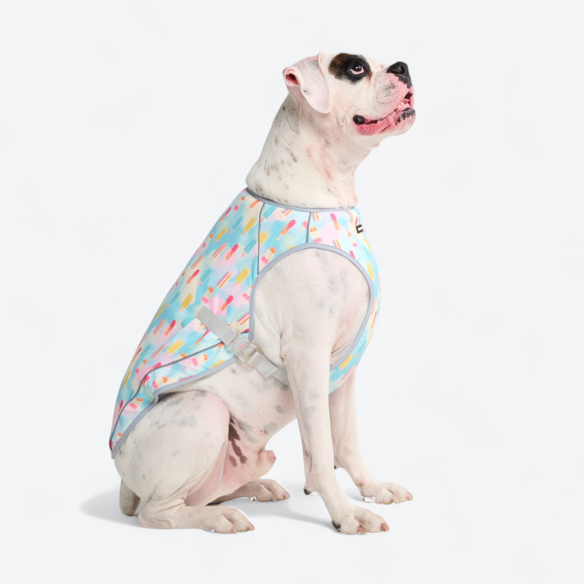 Dog Cooling Vest - Popsicles - Image 3