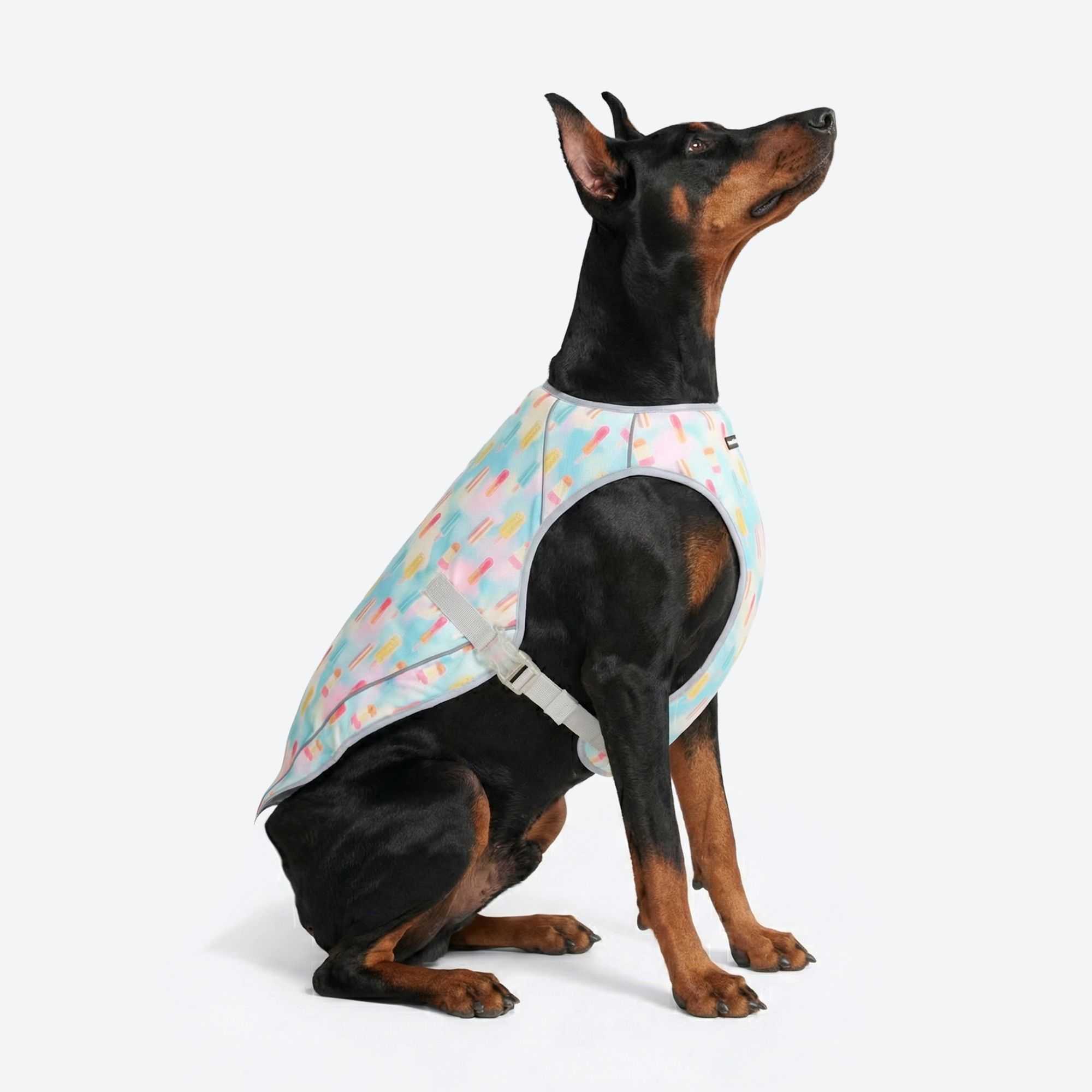 Dog Cooling Vest - Popsicles - Image 4
